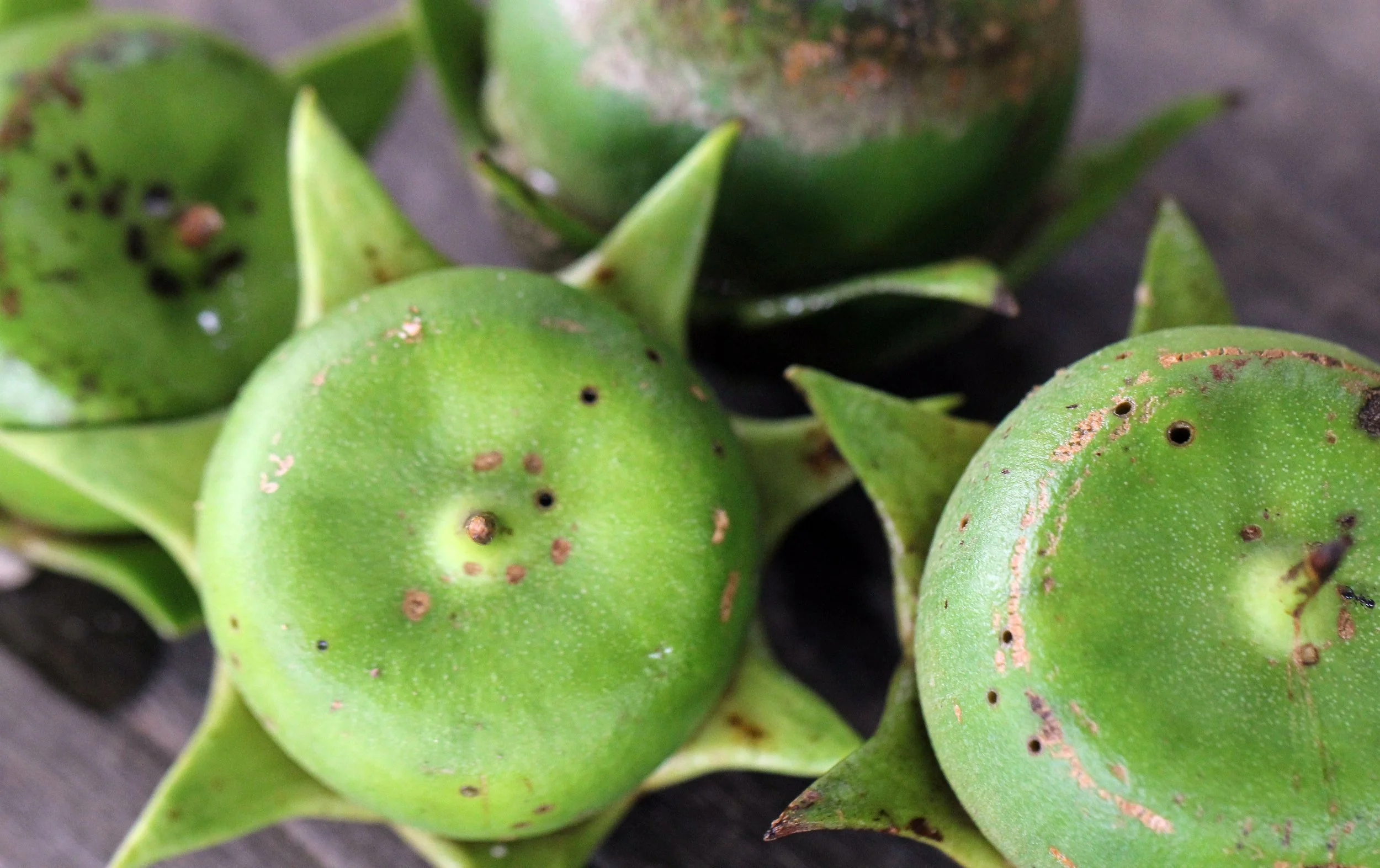 2015 Koh Lanta October Break Trip  (118).JPG