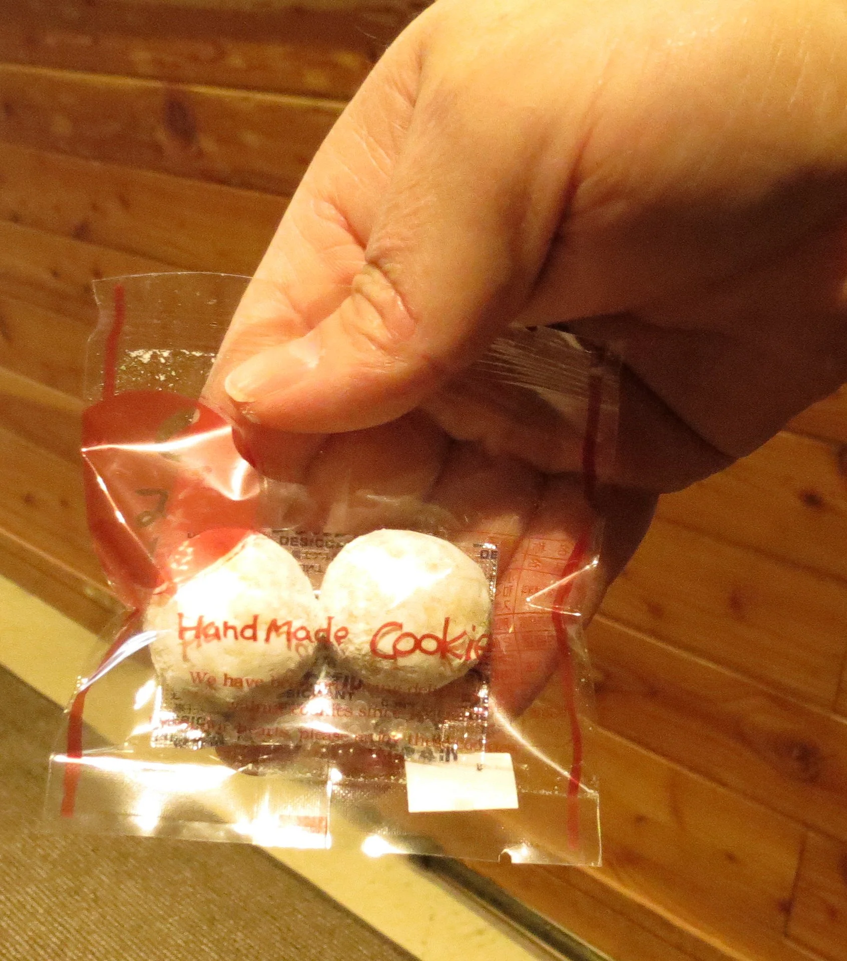 KARUIZAWA - PICCHIO TREK AND TALK (13).JPG