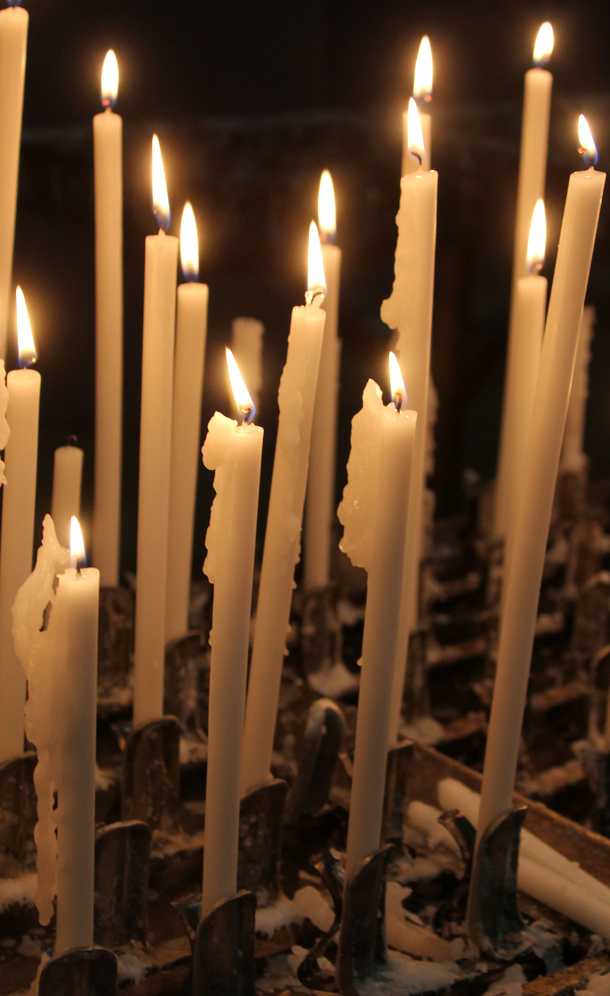 MILAN ITALY -  (30).JPG