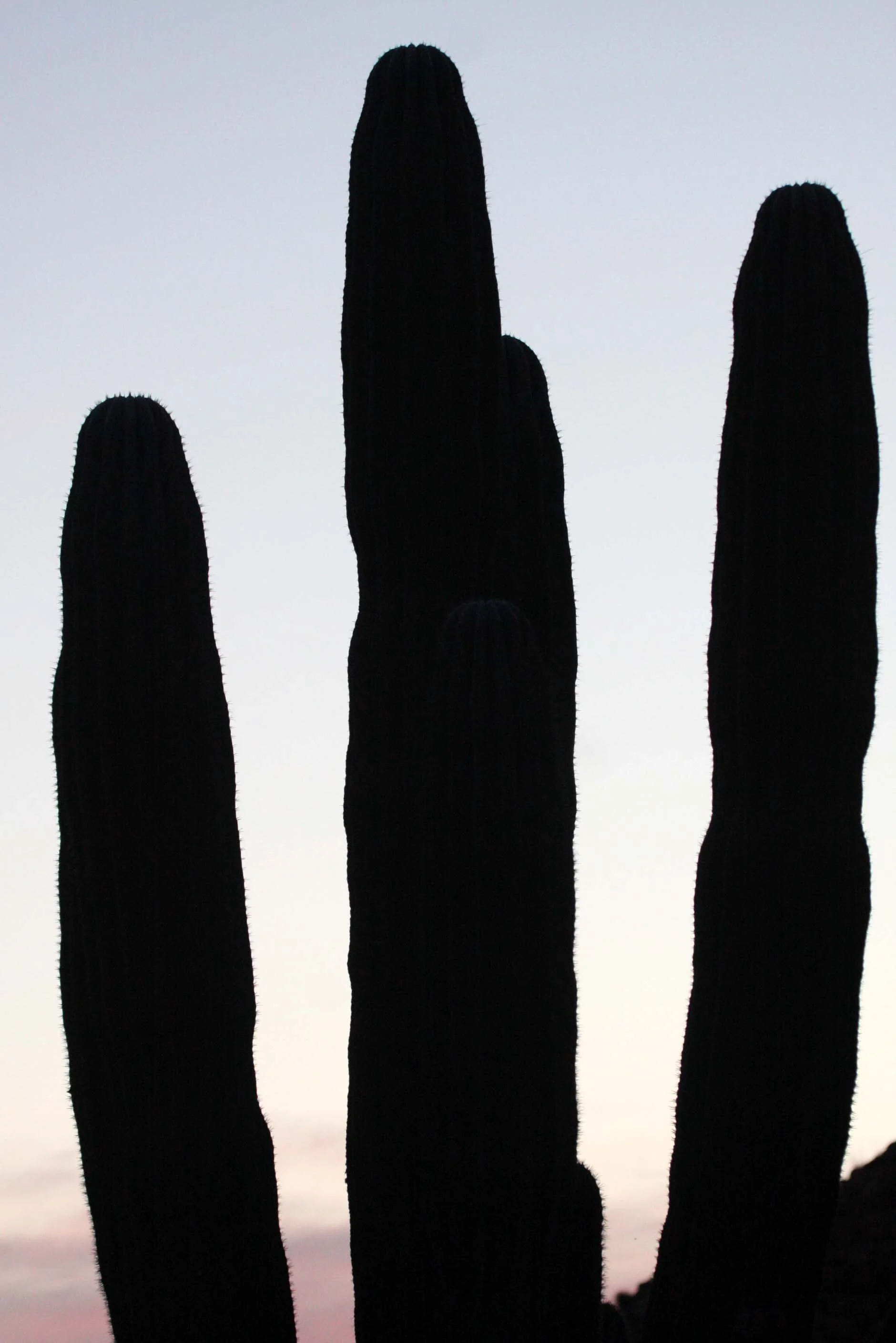 ISLA SANTA CATALINA BAJA MEXIO - SUNSET LANDSCAPES (24).JPG