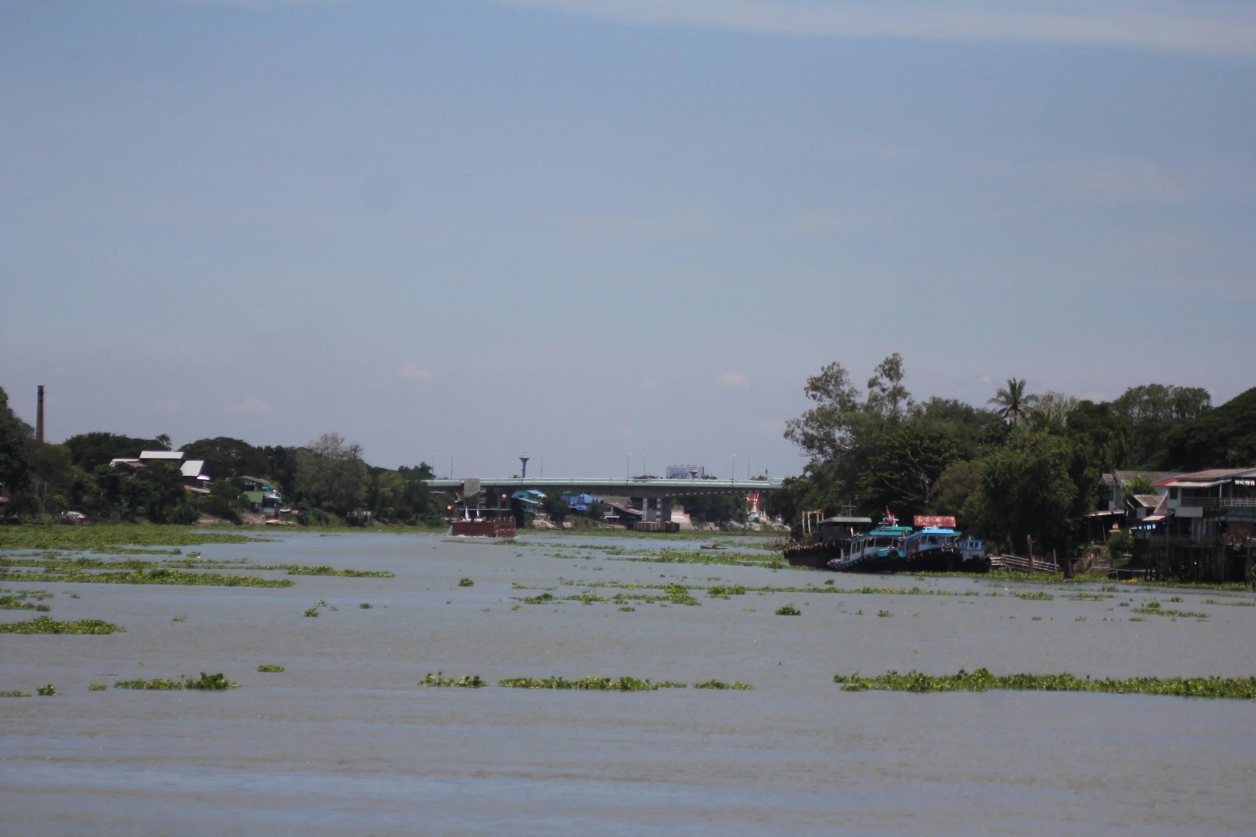 2020 - Ayutthaya Cokie's Pictures (154).JPG