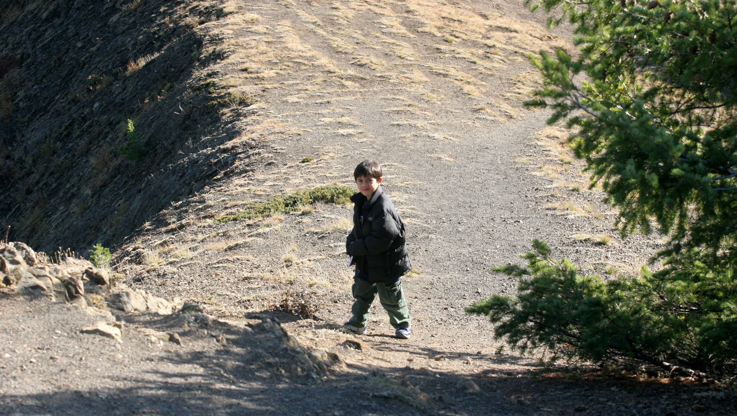 2008-10-25 DAY ON HURRICANE RIDGE (7).JPG