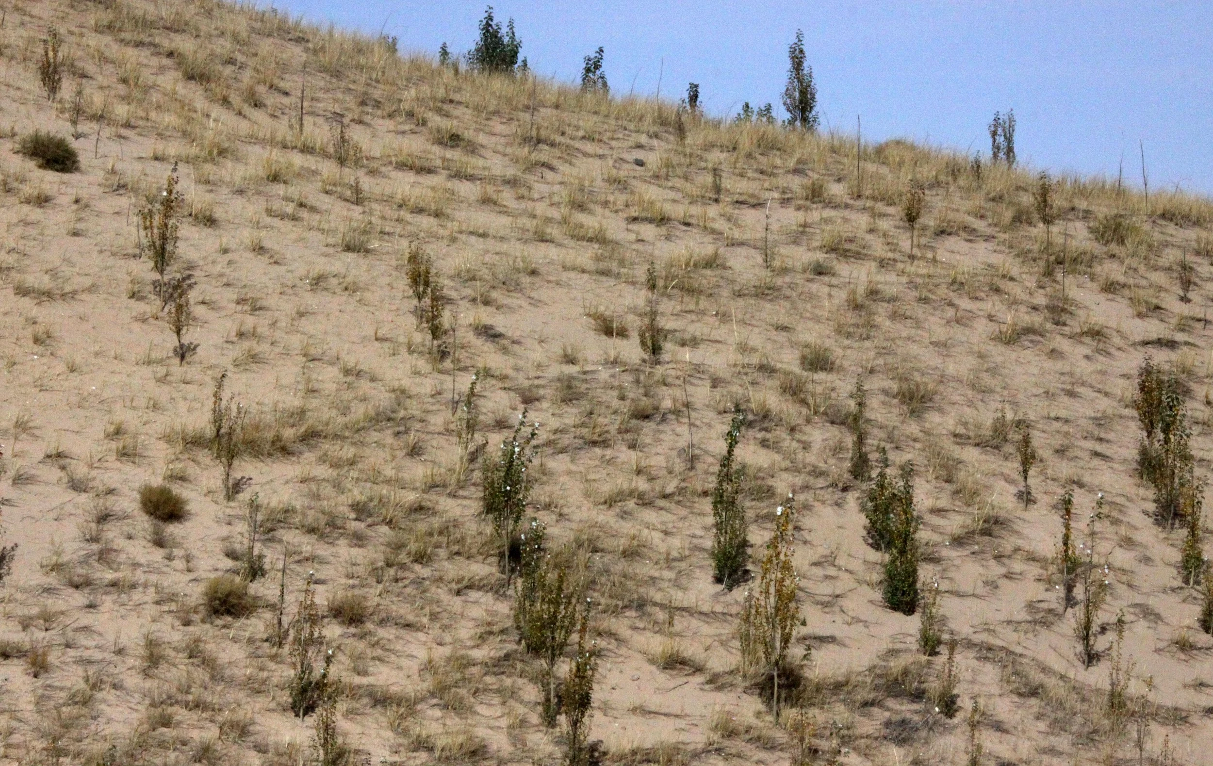 DULAN AND VICINITY - QINGHAI CHINA (7).JPG