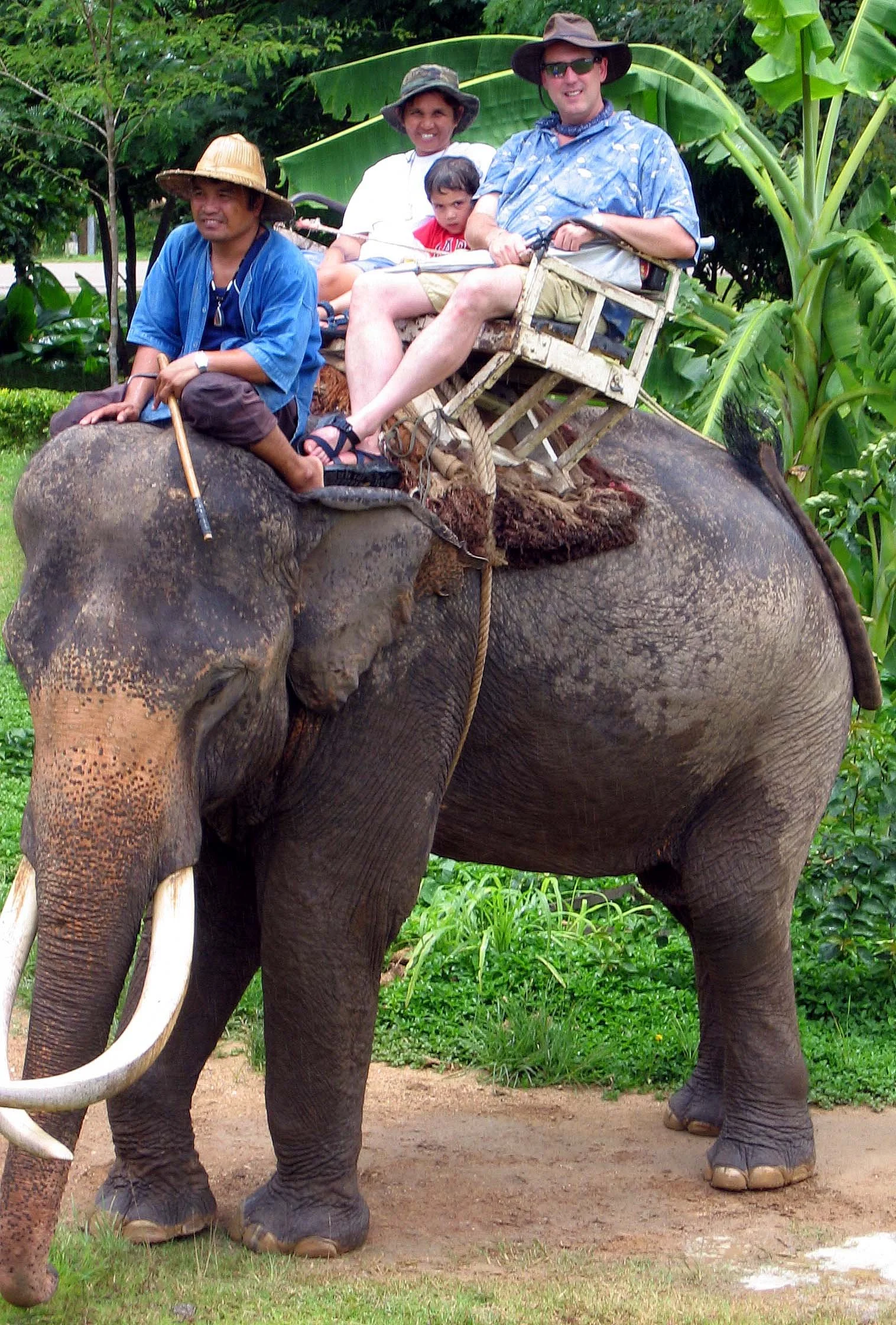 2008 Lampang City & Elephant Center (124).jpg