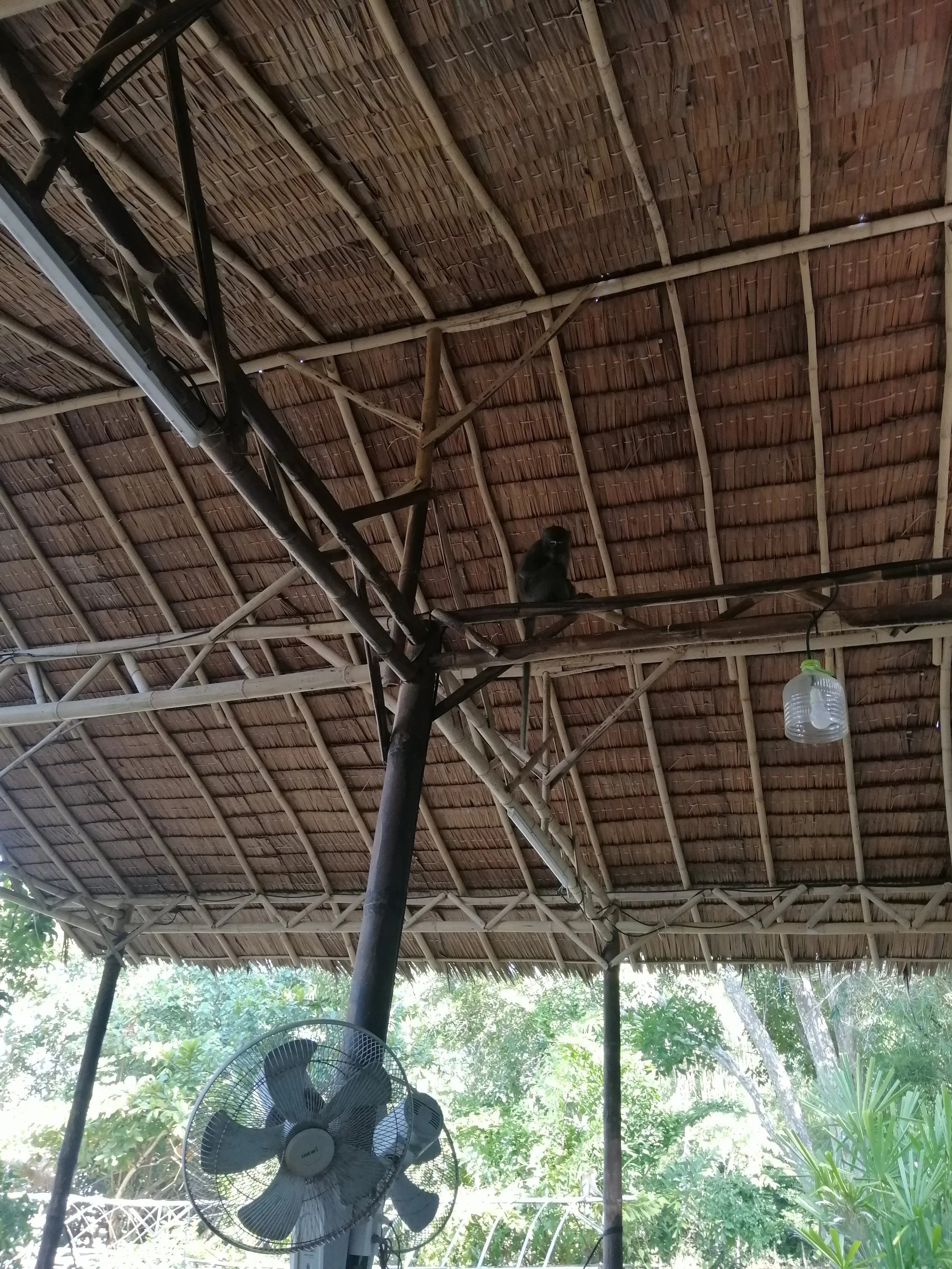 2019 Koh Lanta Summer Trip (4).jpg