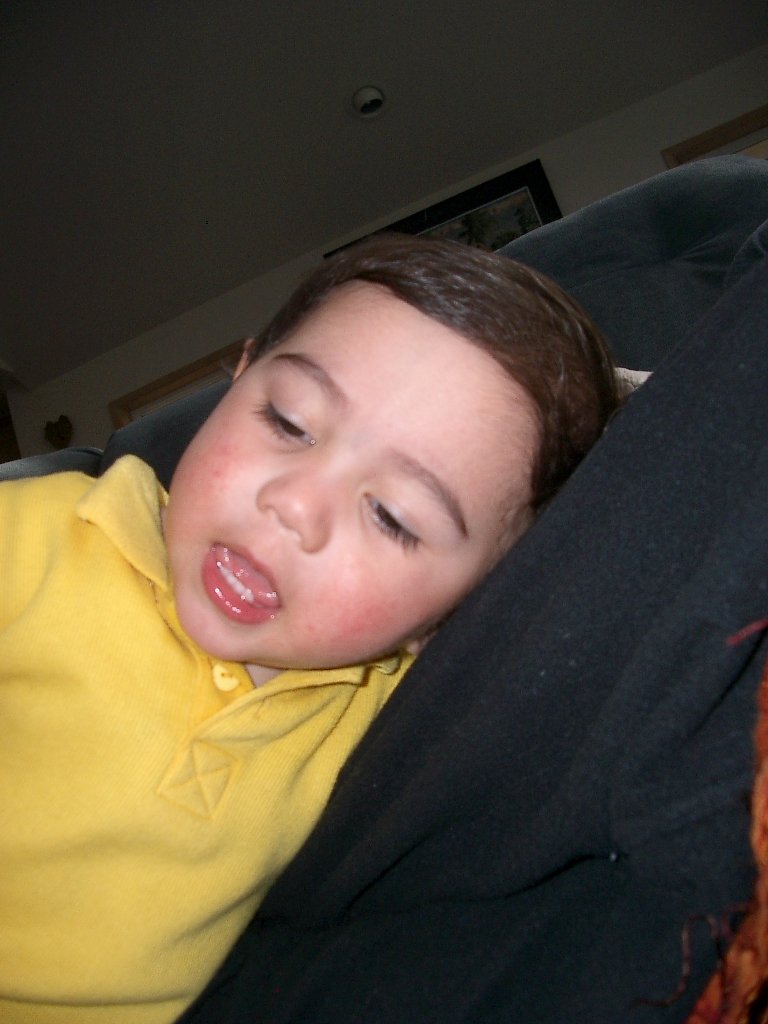 2004-3-20 COKIE AT HOME (11).JPG