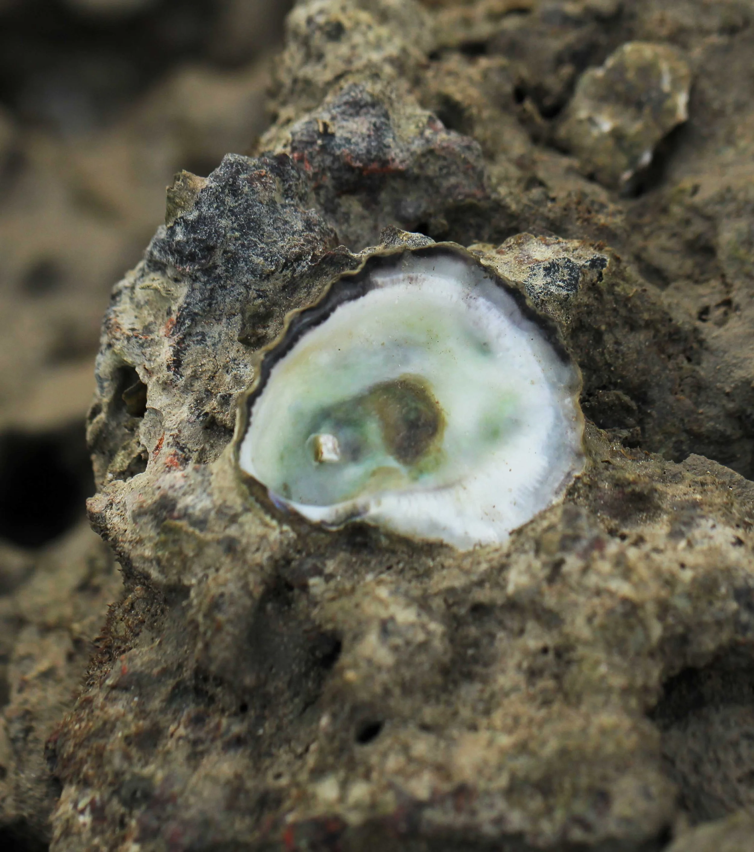 2015 Koh Lanta Songkran with friends from ISB (678).JPG