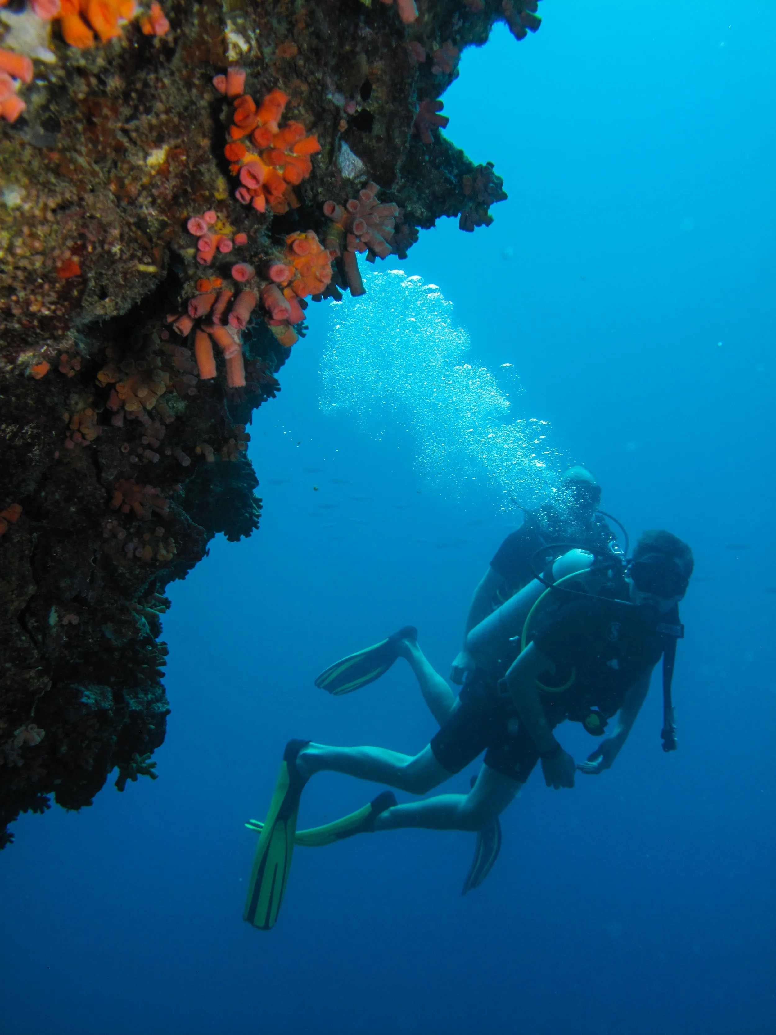 2013 Diving Koh Lanta (25).jpg