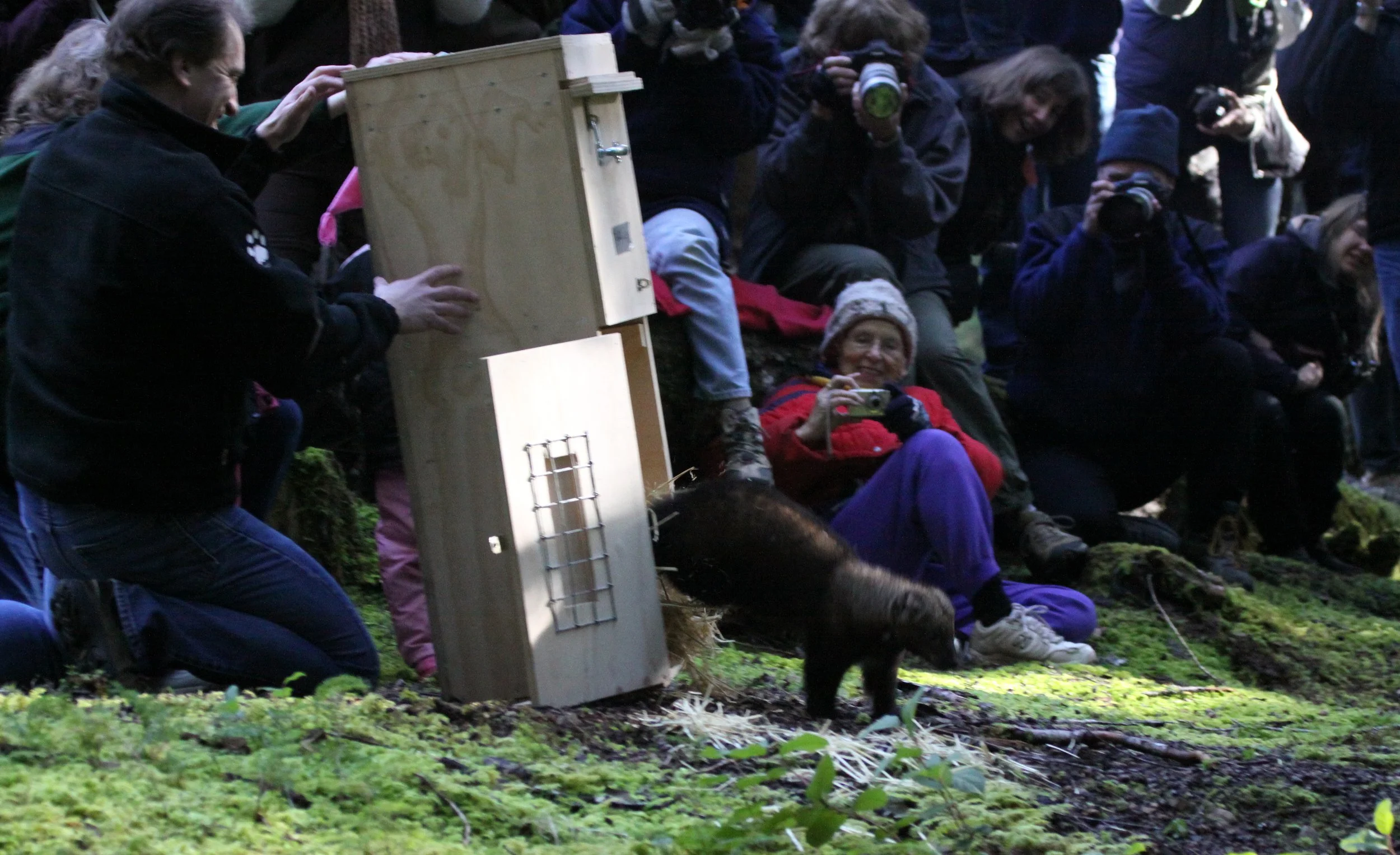 MUSTELID - FISHER - FINAL RELEASE ON 2-20-2010 (32).JPG