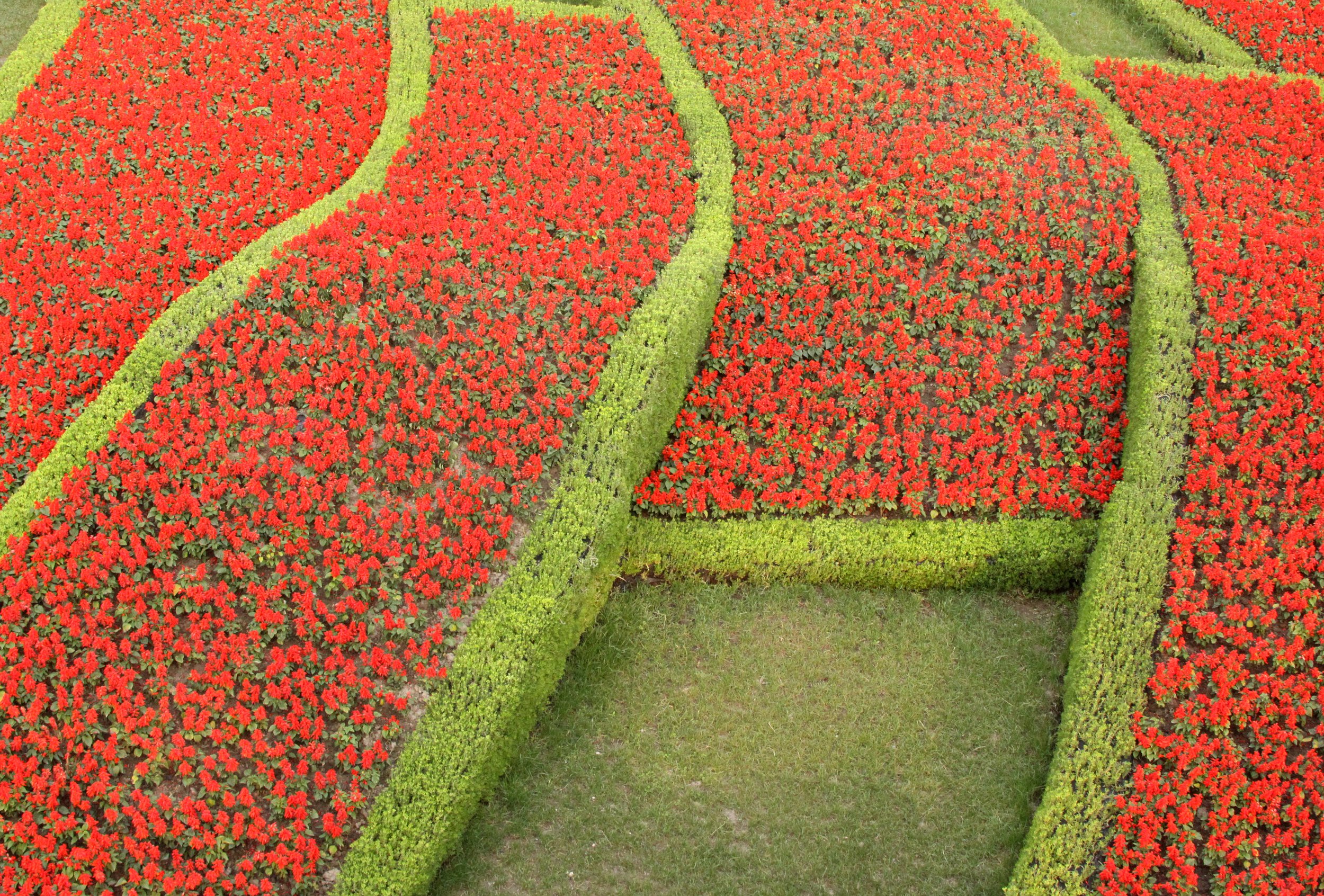 2011-5-6 PUDONG SHANGHAI (6).JPG