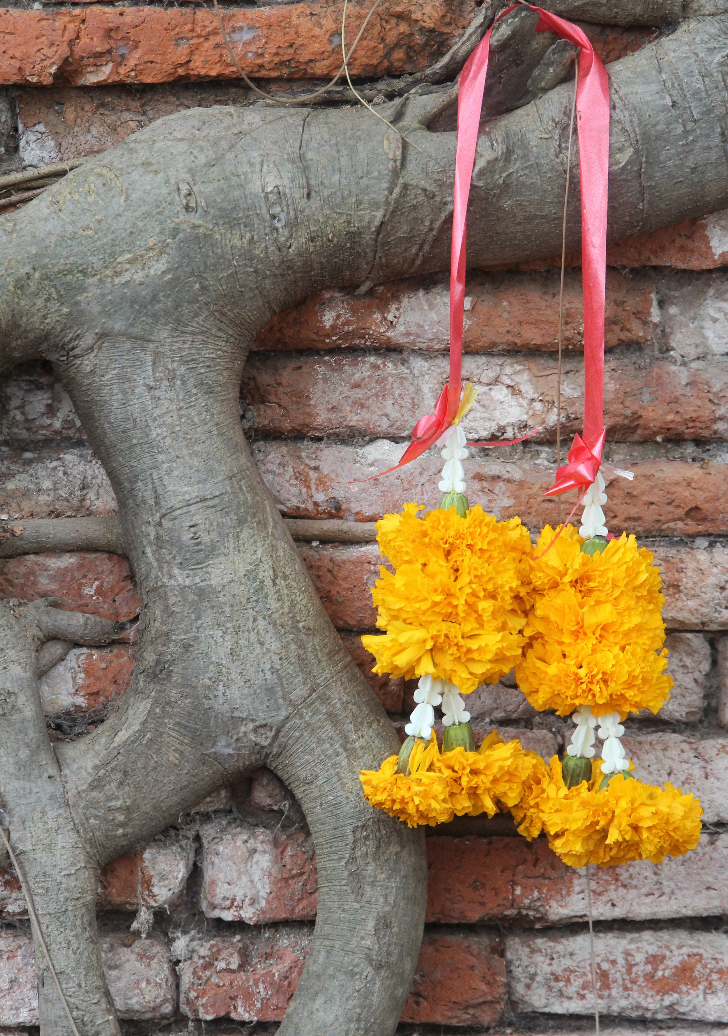 AYUTTHAYA PASSION DAY NOVEMBER 2013 (70).JPG