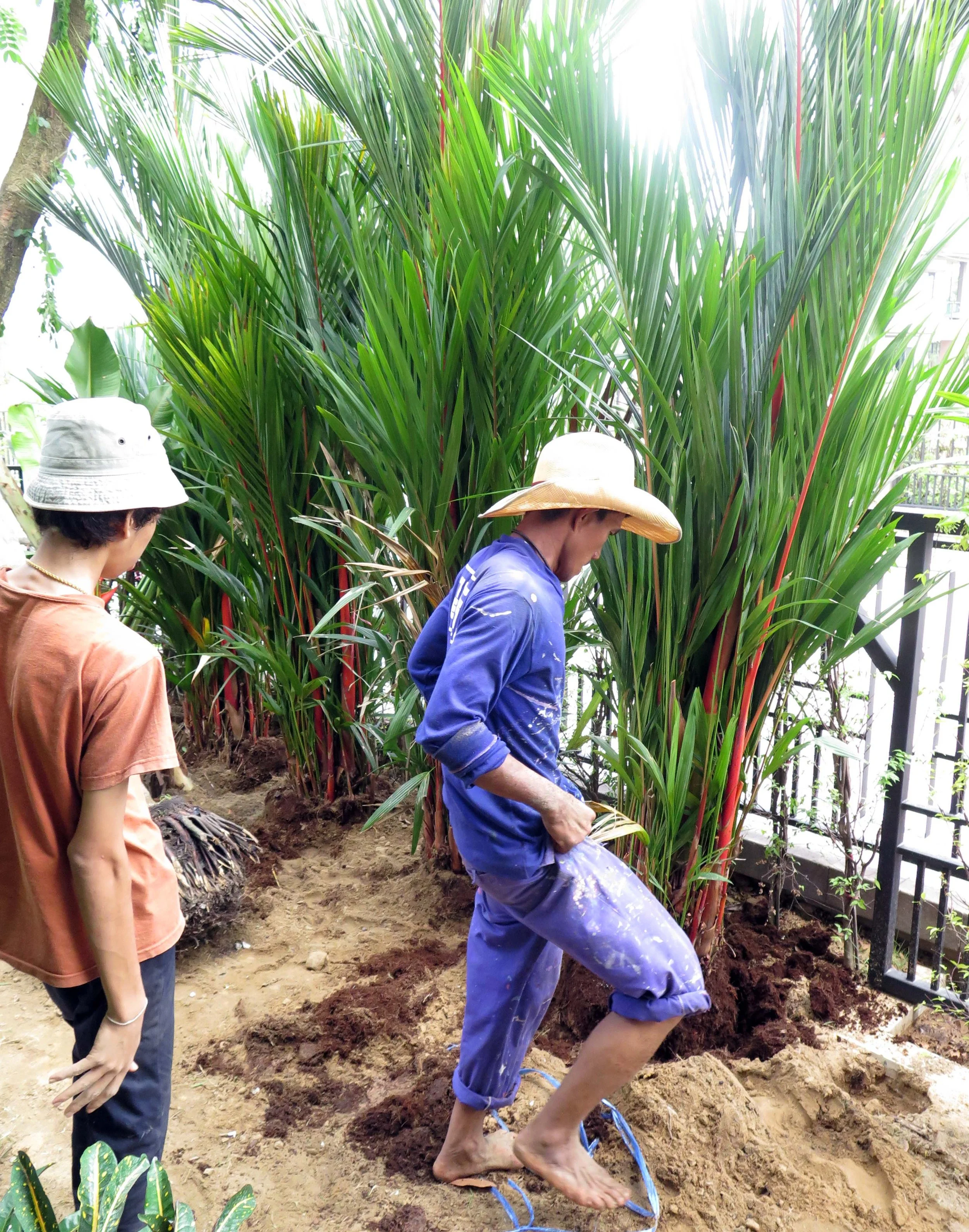 2013 Nonthaburi Setthasiri House and Nonthaburi Neighborhood (80).JPG