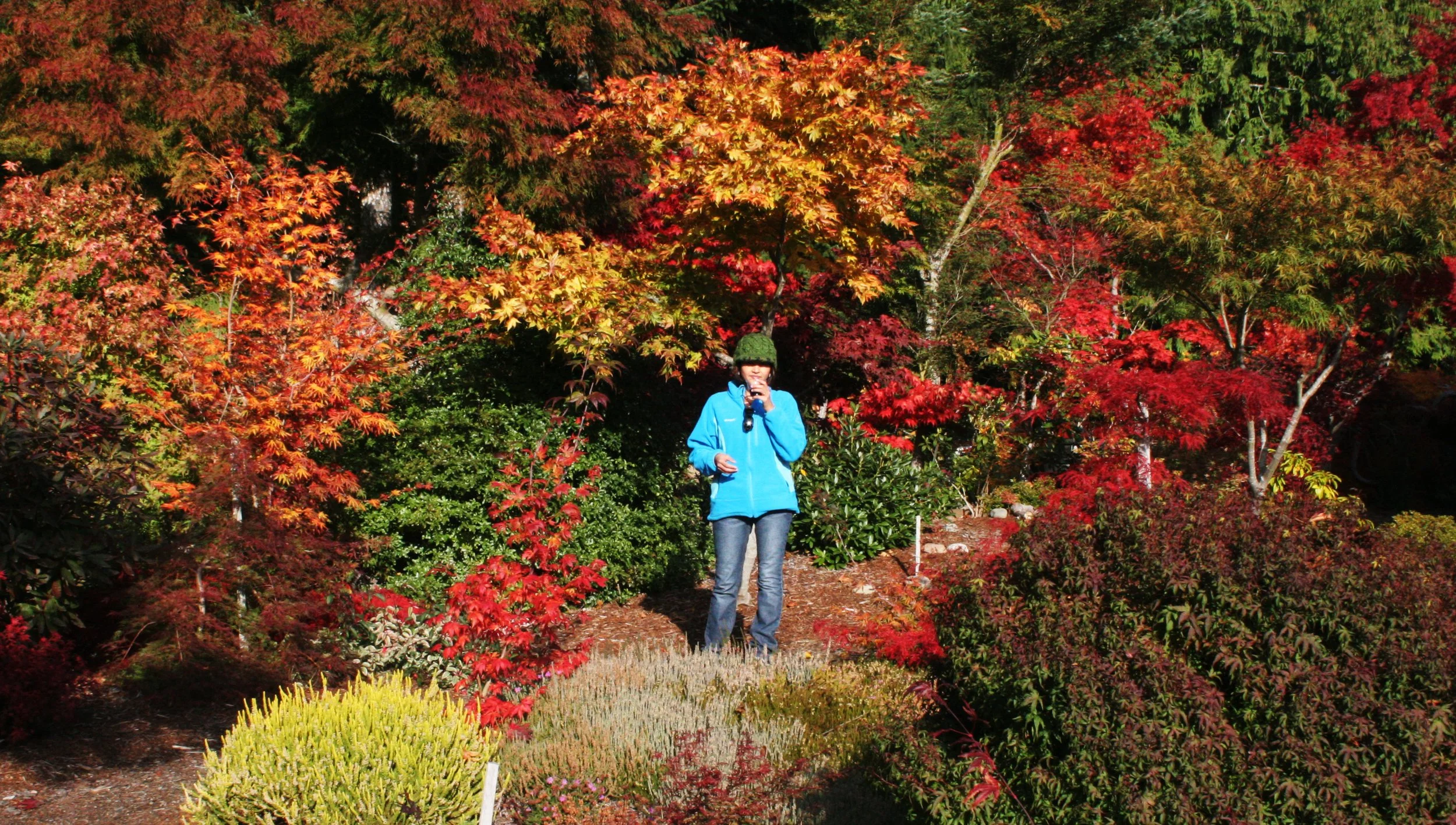2008-10-26 MAPLE AND MERLOT - ELWHA RIVER VALLEY WA (15).JPG