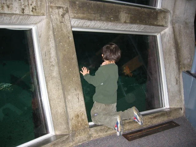 2005-10-29 DAY TRIP TO SEATTLE MUSEUMS AND AQUARIUM (9).JPG