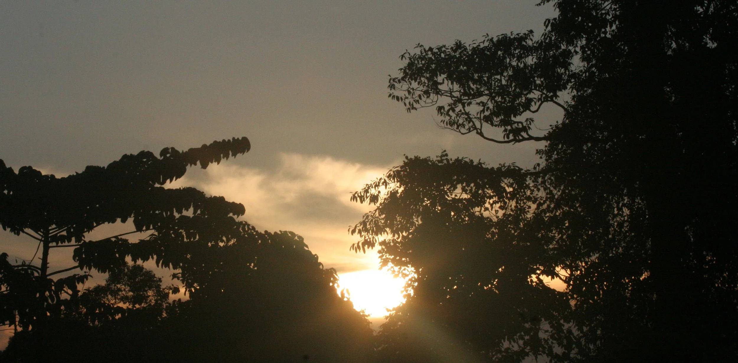 TABIN WILDLIFE RESERVE BORNEO - SUNSET (3).JPG