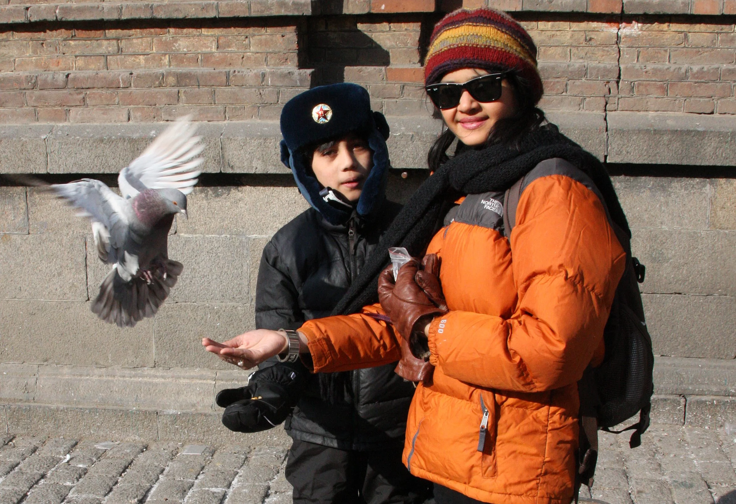 BIRD - PIGEON - HARBIN SAINT SOPHIA'S CATHEDRAL CHINA (17).JPG