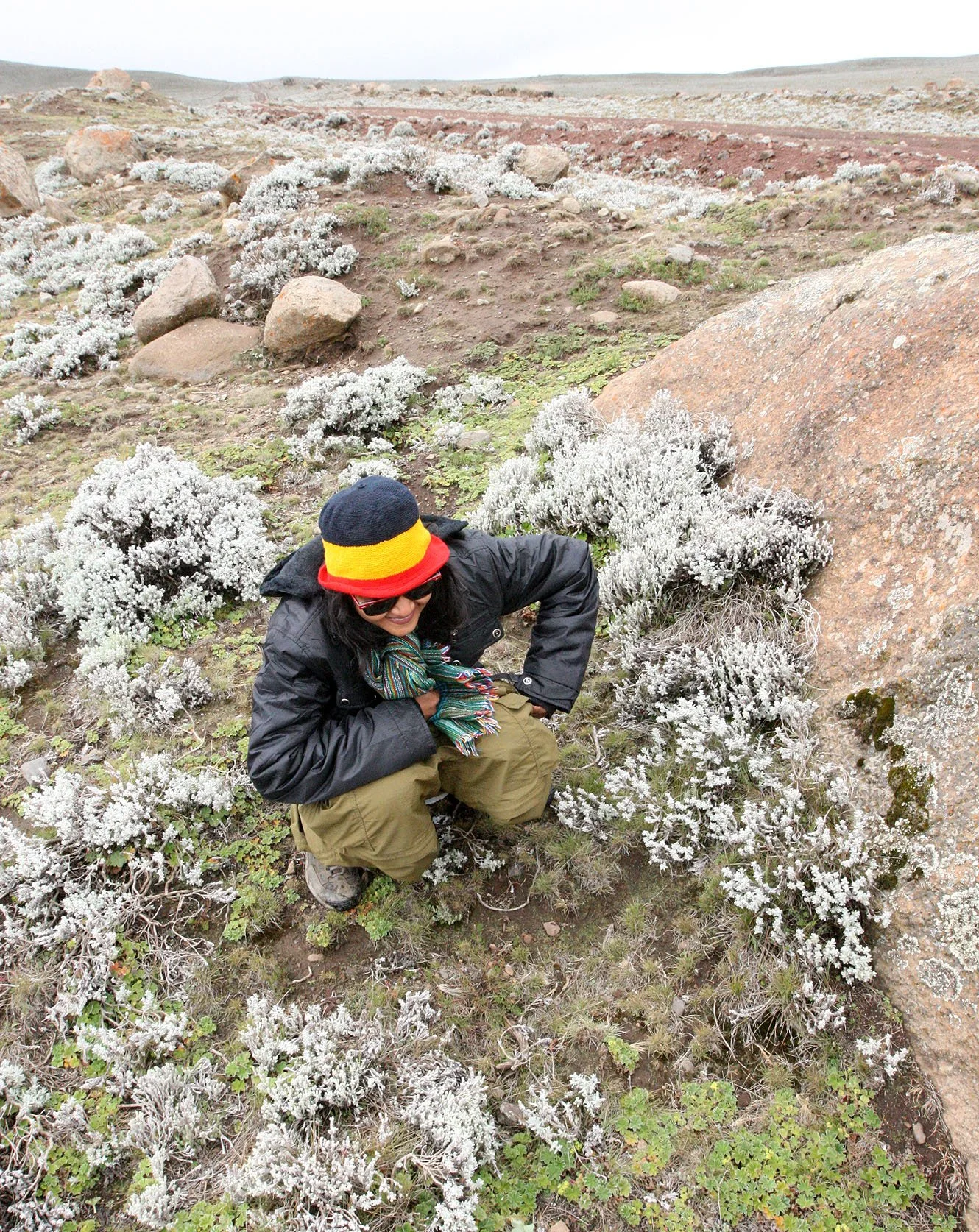 BALE MOUNTAINS NATIONAL PARK ETHIOPIA - SANETTI PLATEAU (22).JPG