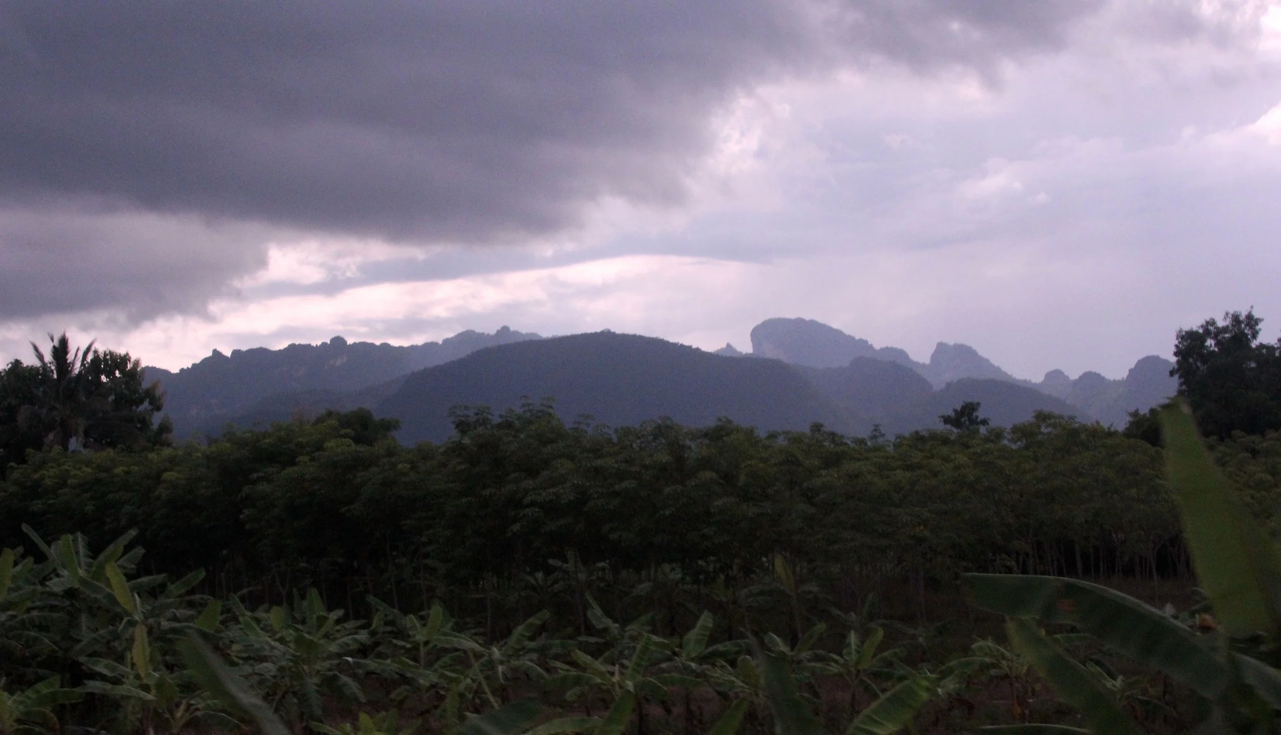 2017 Phu Khieo Wildlife Sanctuary  (3).JPG