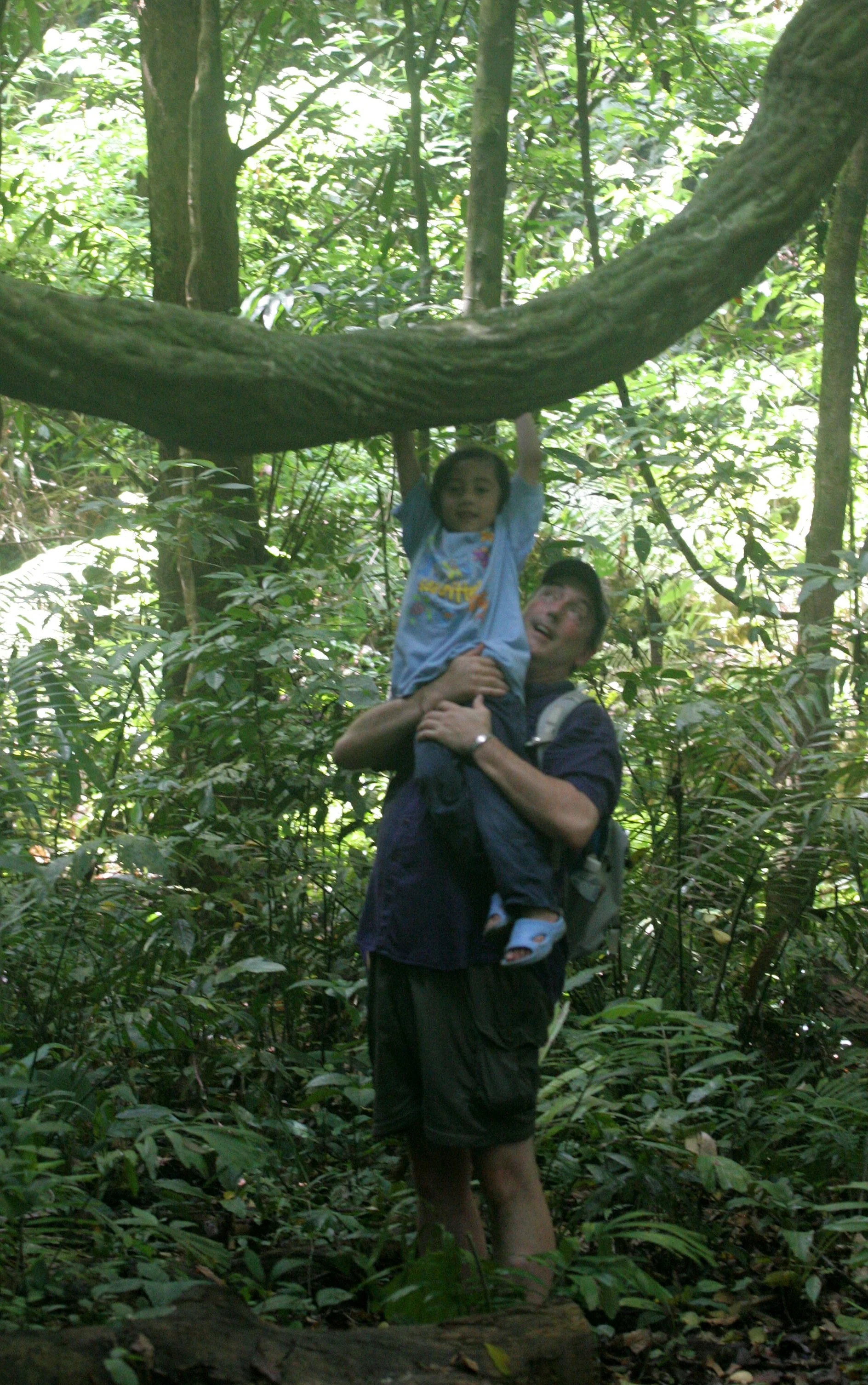 2008 Khao Luang NP Krung Chin Waterfalls Area (19).JPG