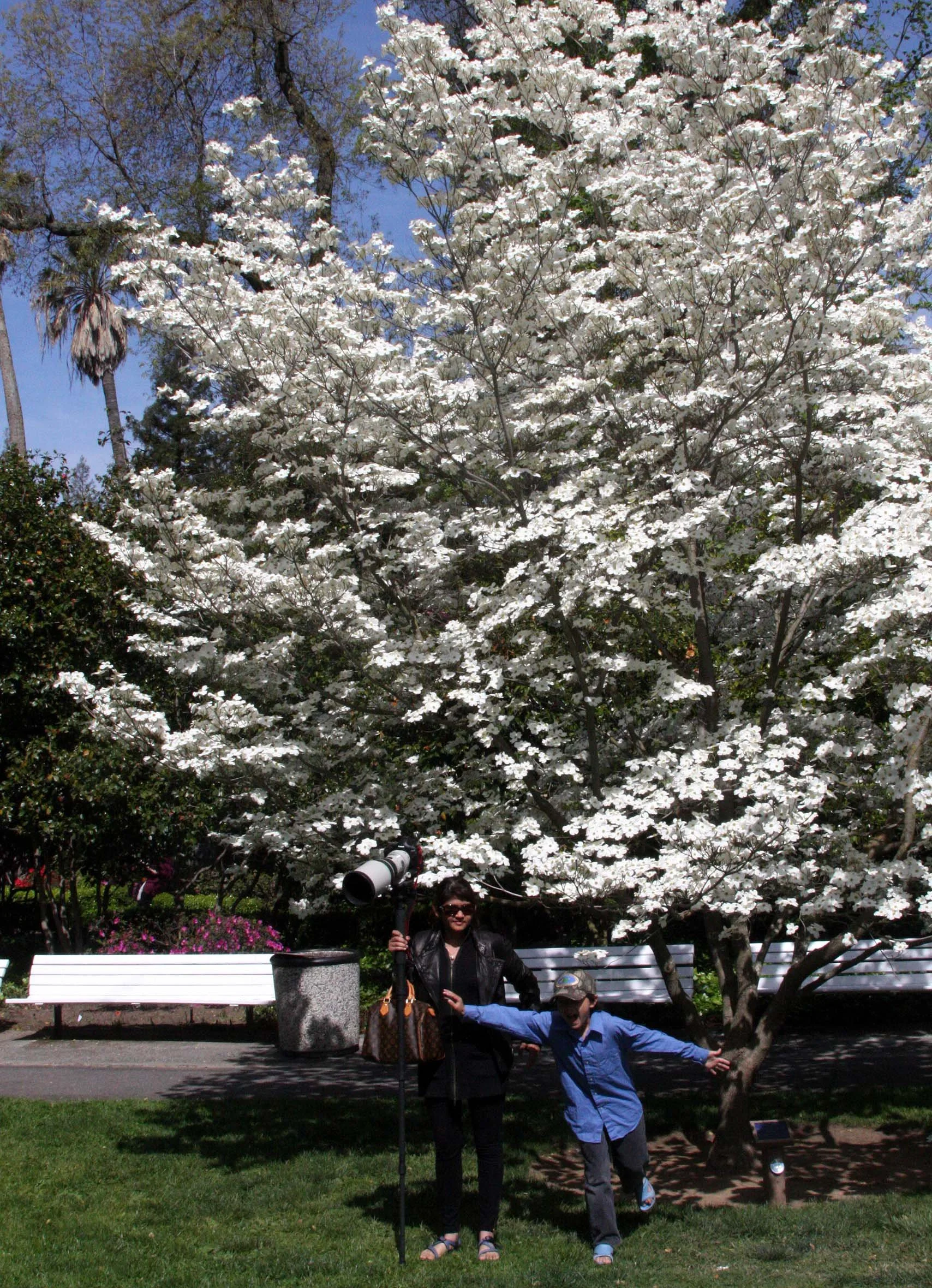 2010-4-9 SACRAMENTO CALIFORNIA - CAPITAL BUILDING (4).JPG