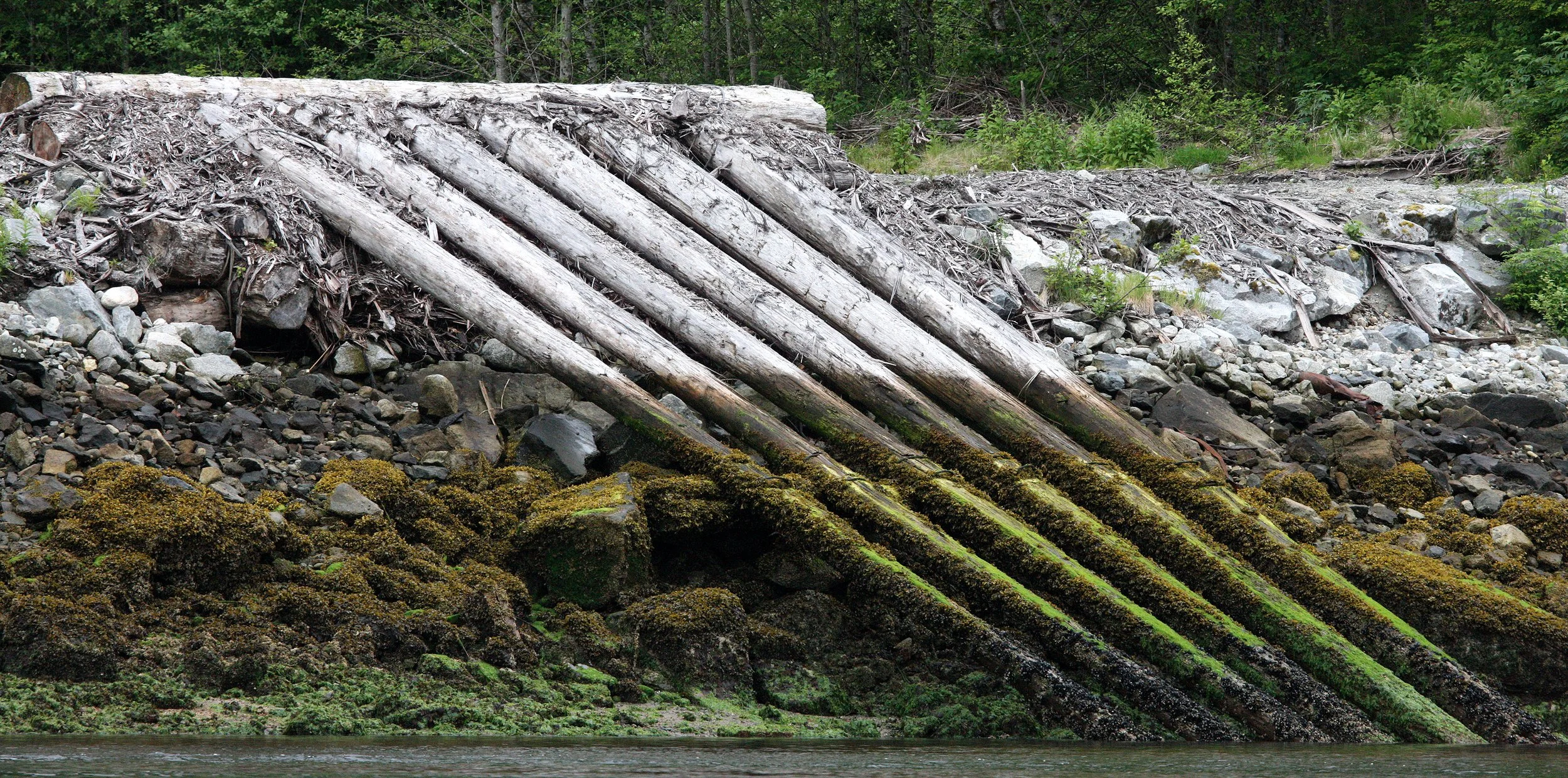 KNIGHT'S INLET BRITISH COLUMBIA - LOGGING SKID.JPG