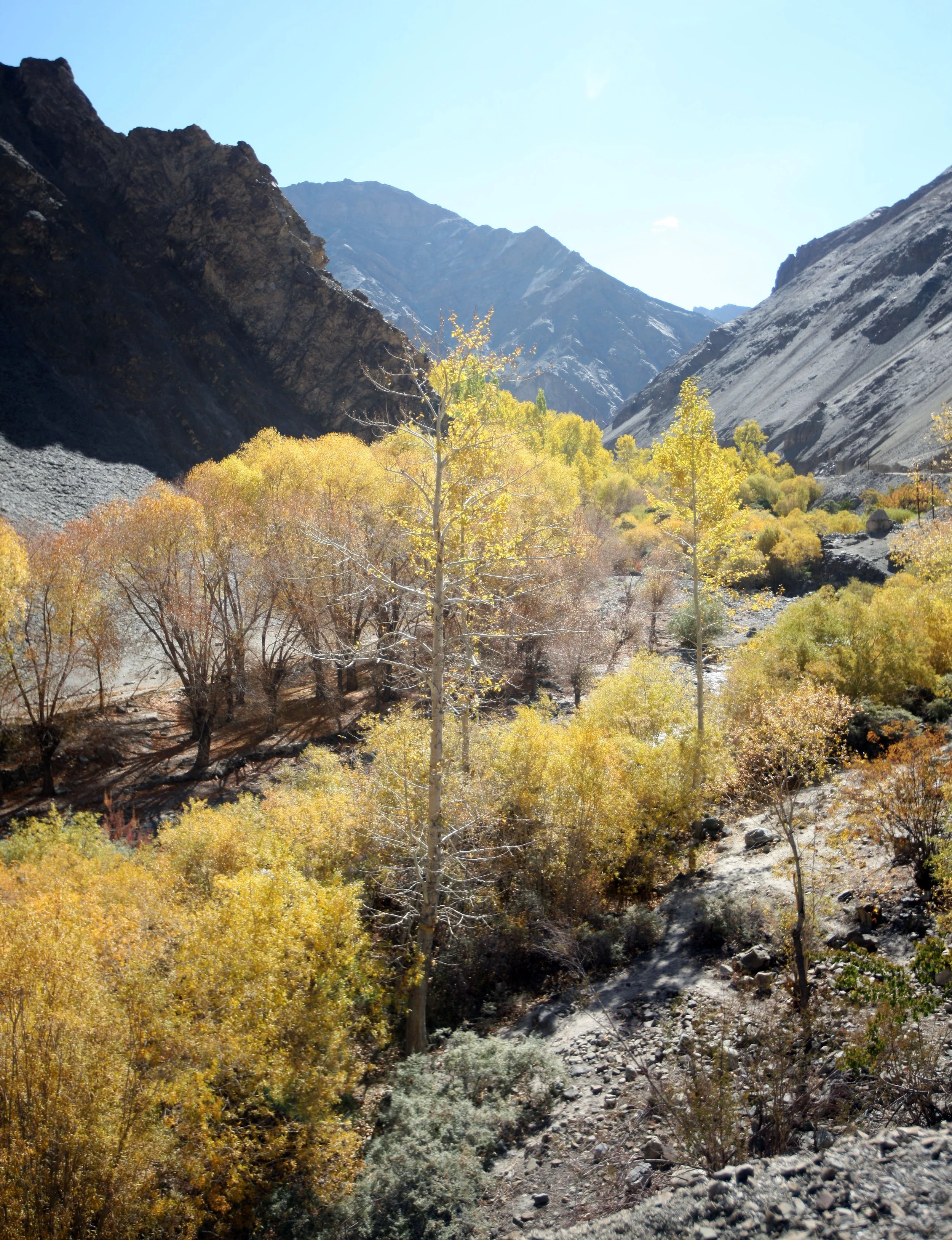 HEMIS NATIONAL PARK - LADAKH INDIA - JAMMU & KASHMIR NEAR RUMBAK VILLAGE (399).JPG