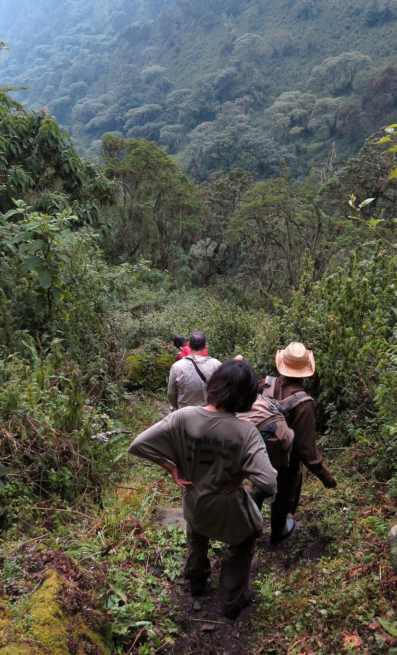 RWENZORI NATIONAL PARK UGANDA (273).JPG