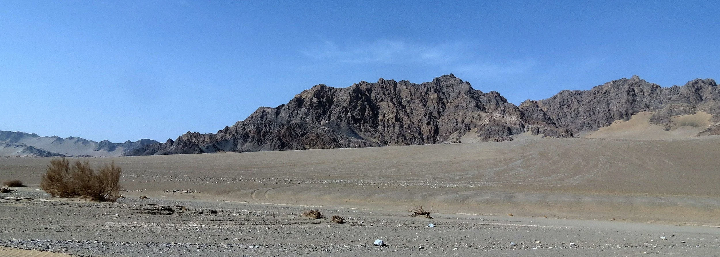LOP NUR WILD BACTRIAN CAMEL RESERVE - XINJIANG CHINA (18).JPG