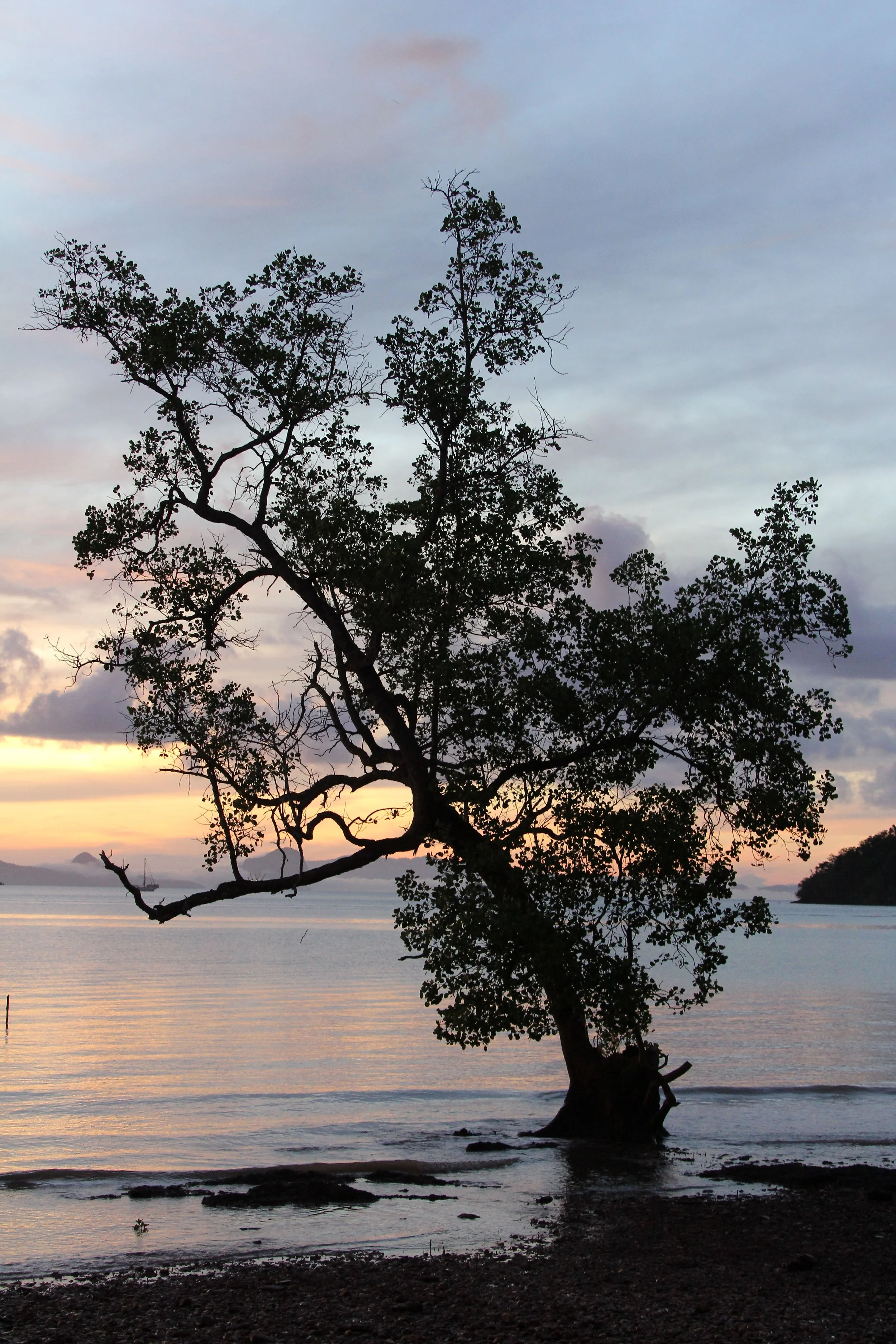 2016 Koh Lanta Landscapes, House Pictures and Family Fun (161).JPG