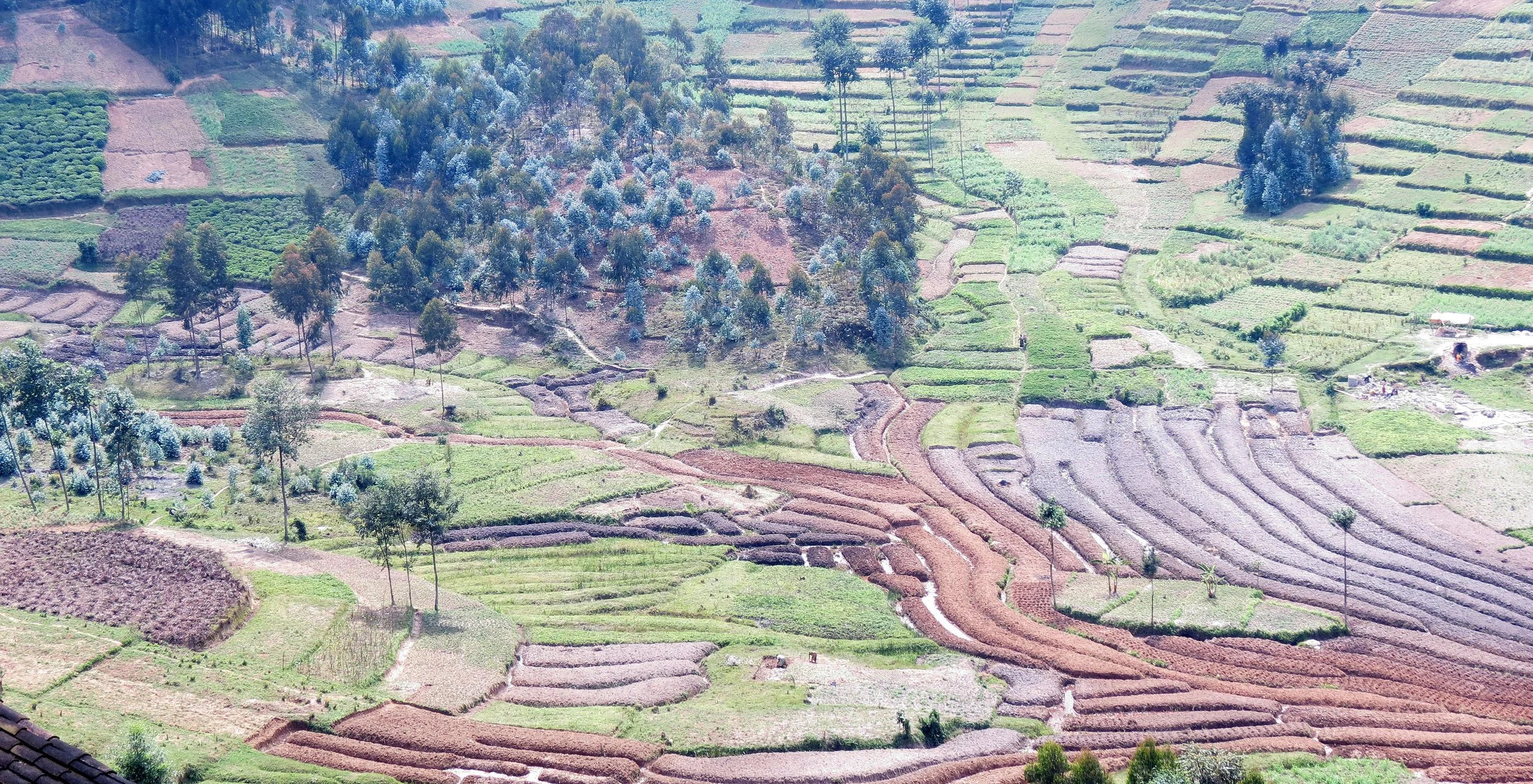 BUTARE RWANDA (32).JPG