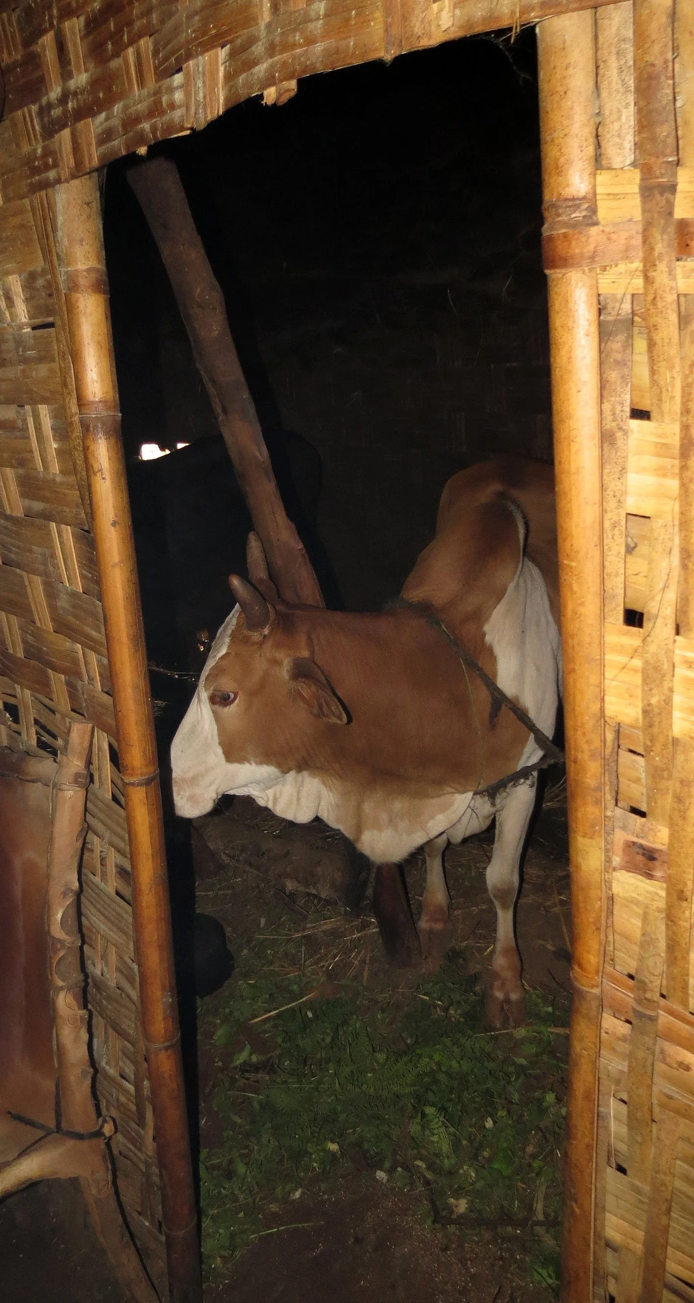 CHENCHA ETHIOPIA DORZE VILLAGE (8).JPG