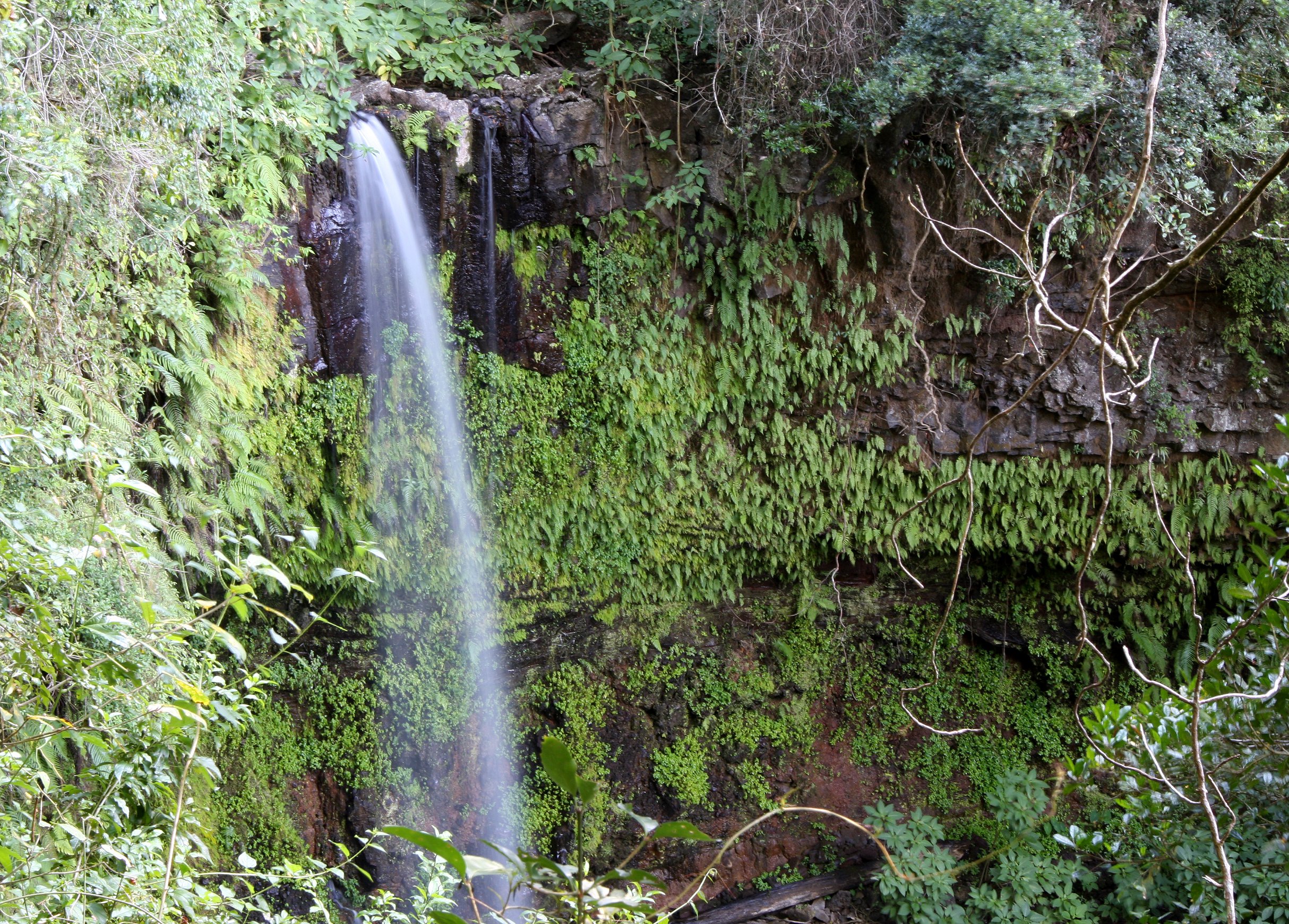 MONTAGNE D'AMBRE NATIONAL PARK - SACRED FALLS (22).JPG
