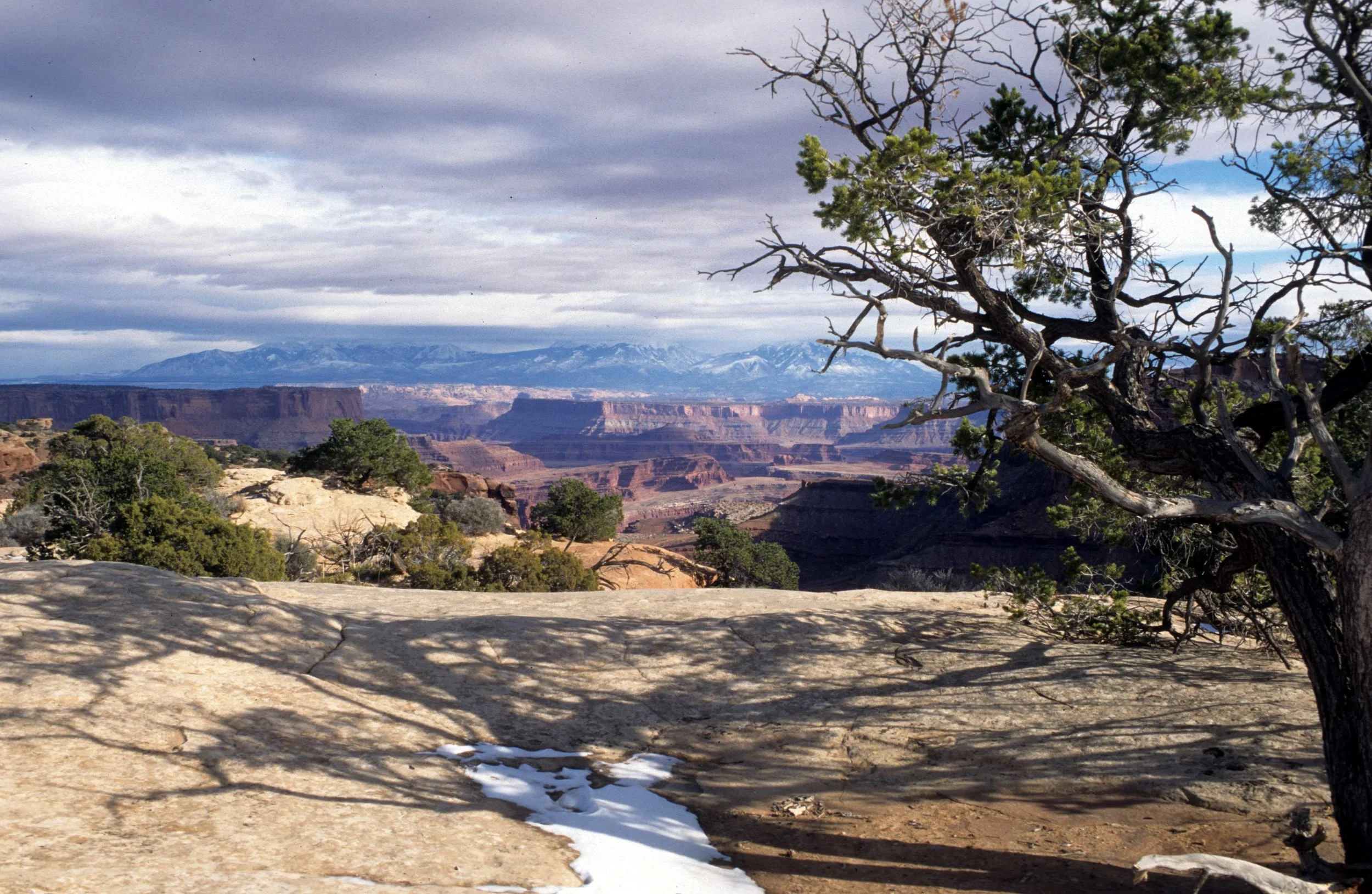 UTAH - CANYONLANDS NP I (2).jpg