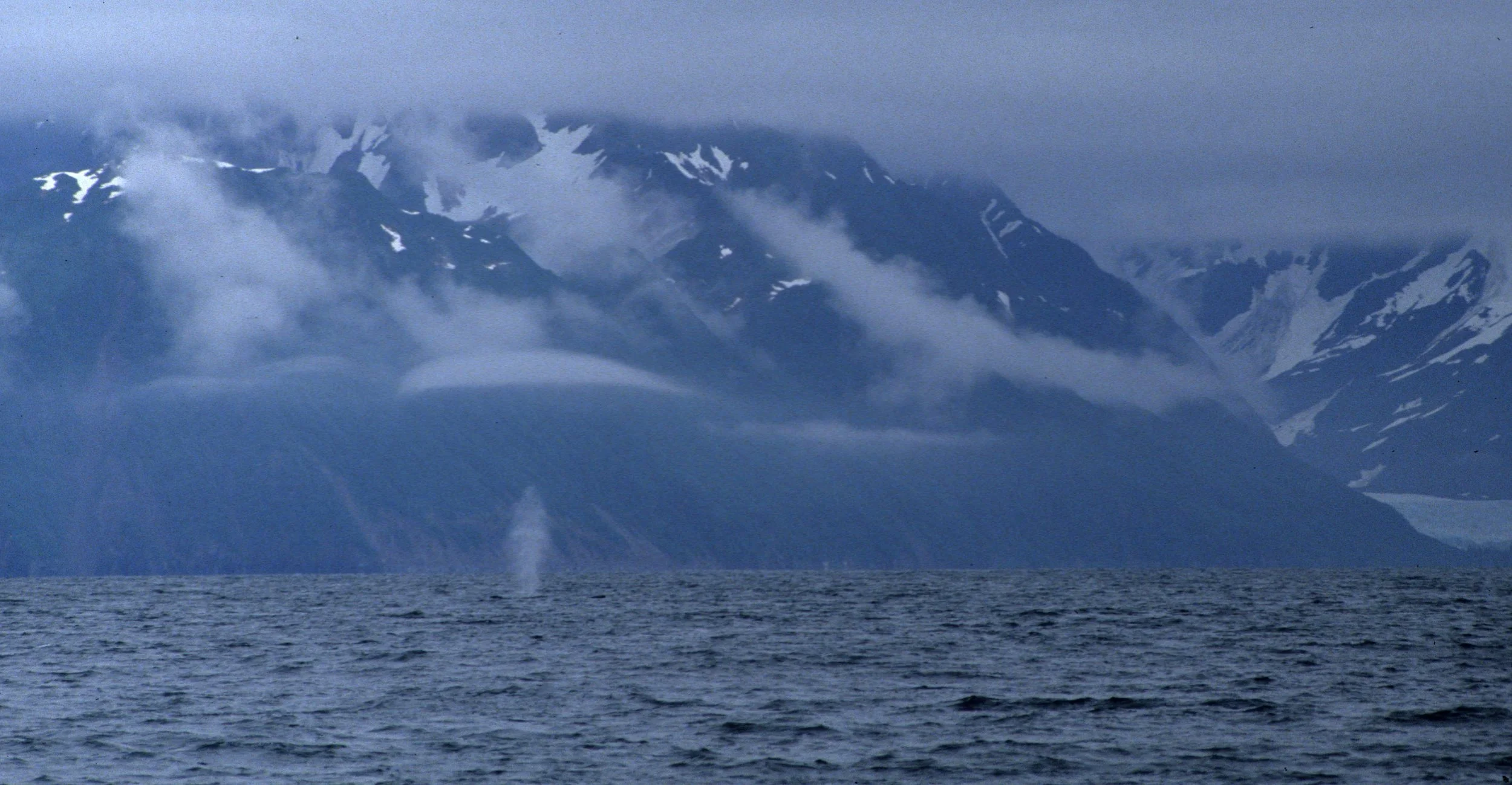 ALASKA - INSIDE PASSAGE WITH HUMBACK SPRAY.jpg