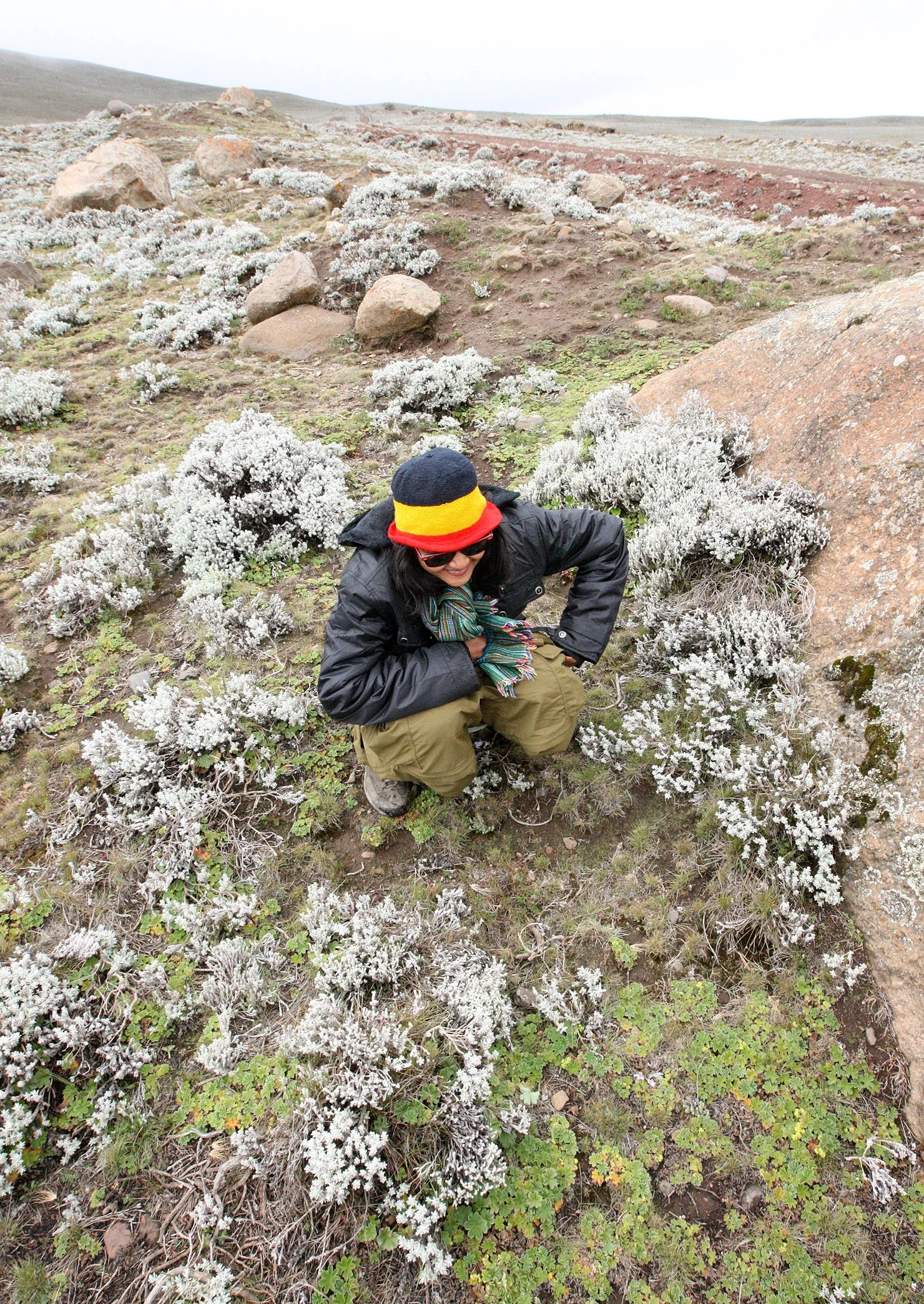 BALE MOUNTAINS NATIONAL PARK ETHIOPIA - SANETTI PLATEAU (23).JPG