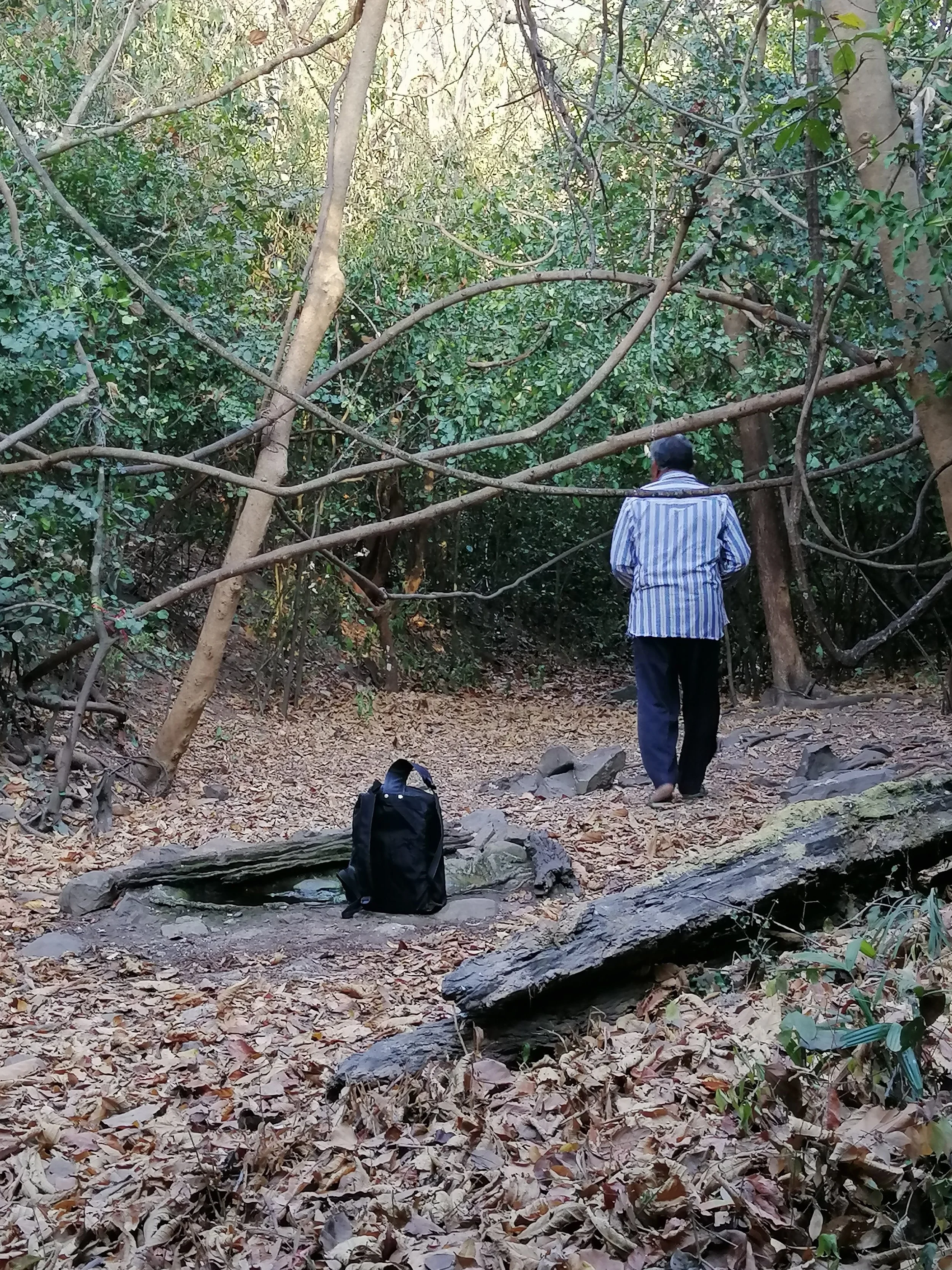 2020 Kaeng Krachan Petchaburi Bird Hide Blind (11).jpg