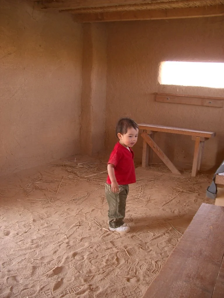 AZRAQ WETLANDS (7).JPG