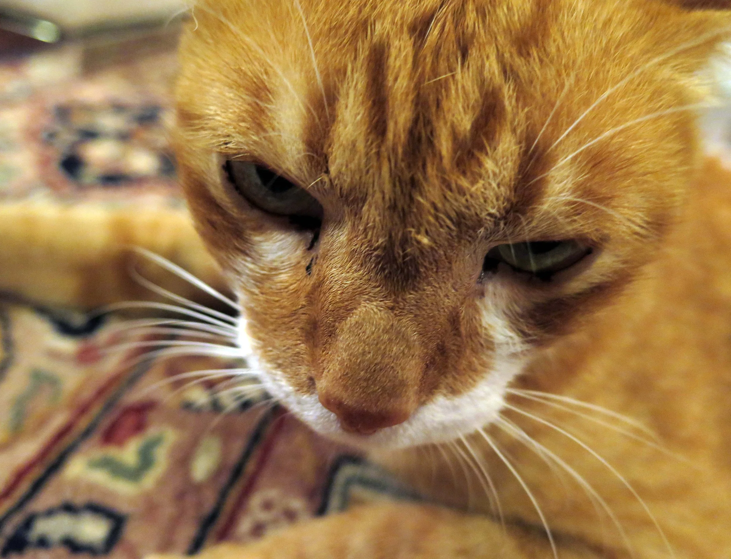 2013 - BANGKOK - NOVEMBER 2013 - MARCH 2014 (11).JPG