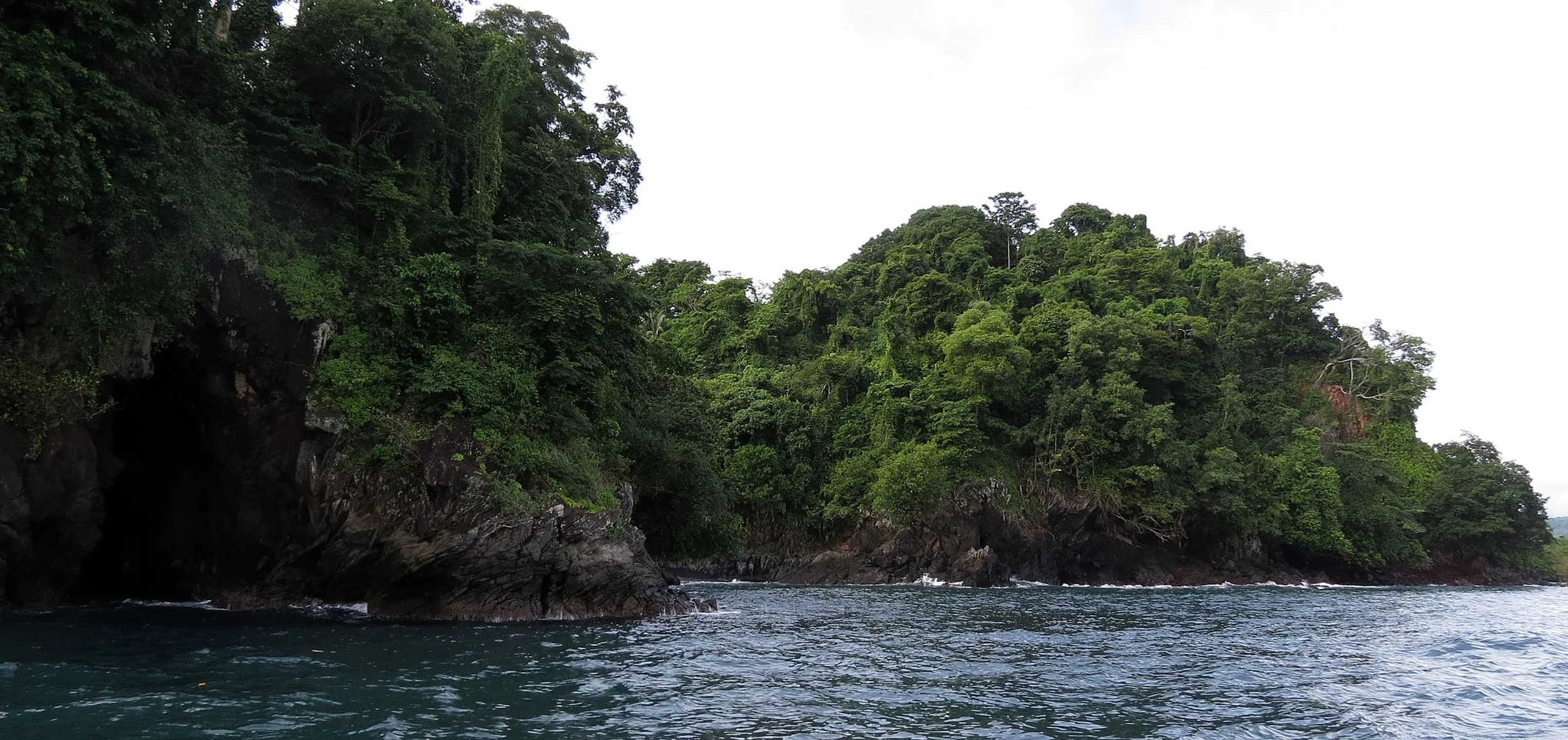 TANGKOKO NATIONAL PARK, SULAWESI INDONESIA  (23).JPG
