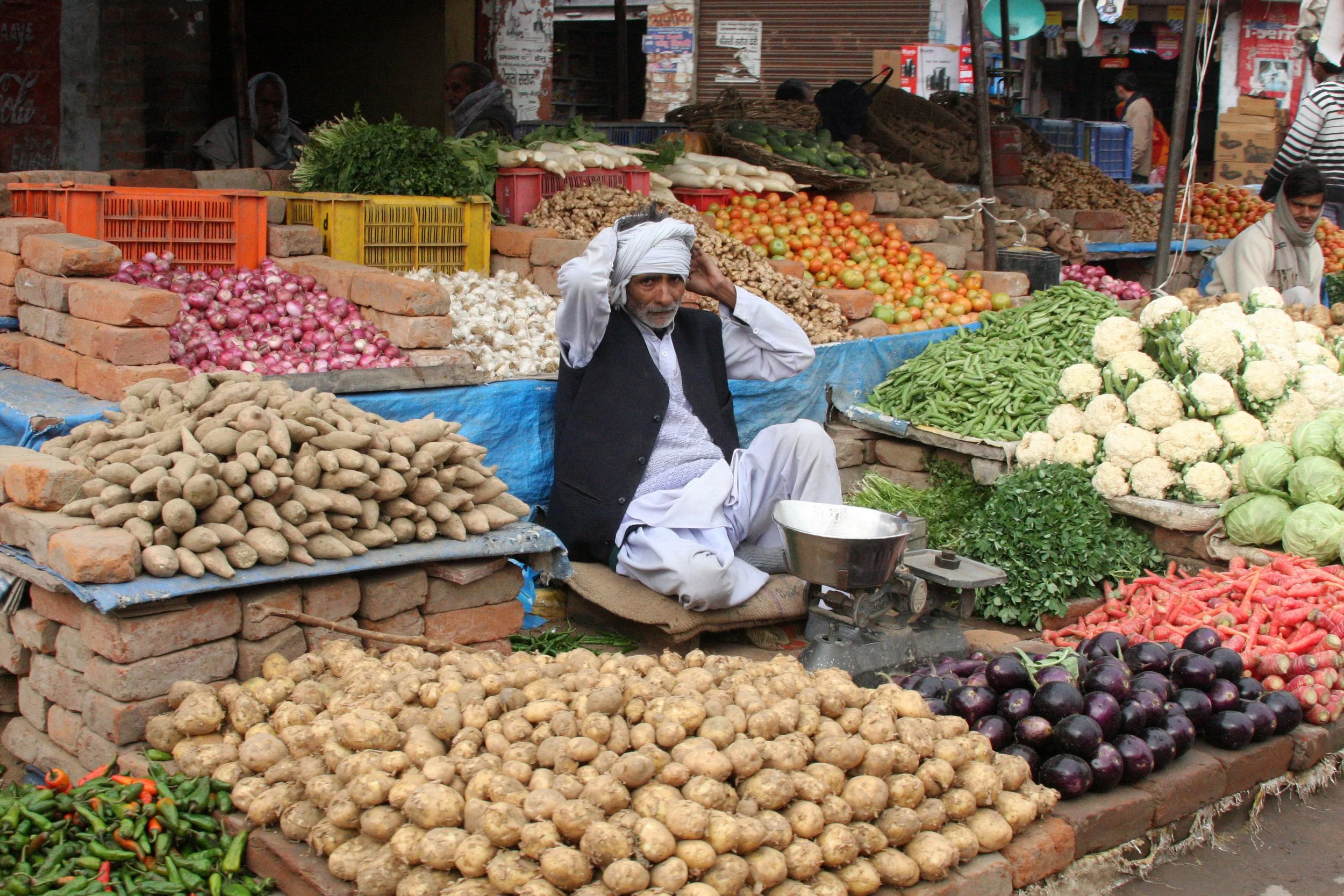 CHAMBAL RIVER SANCTUARY INDIA (26).JPG
