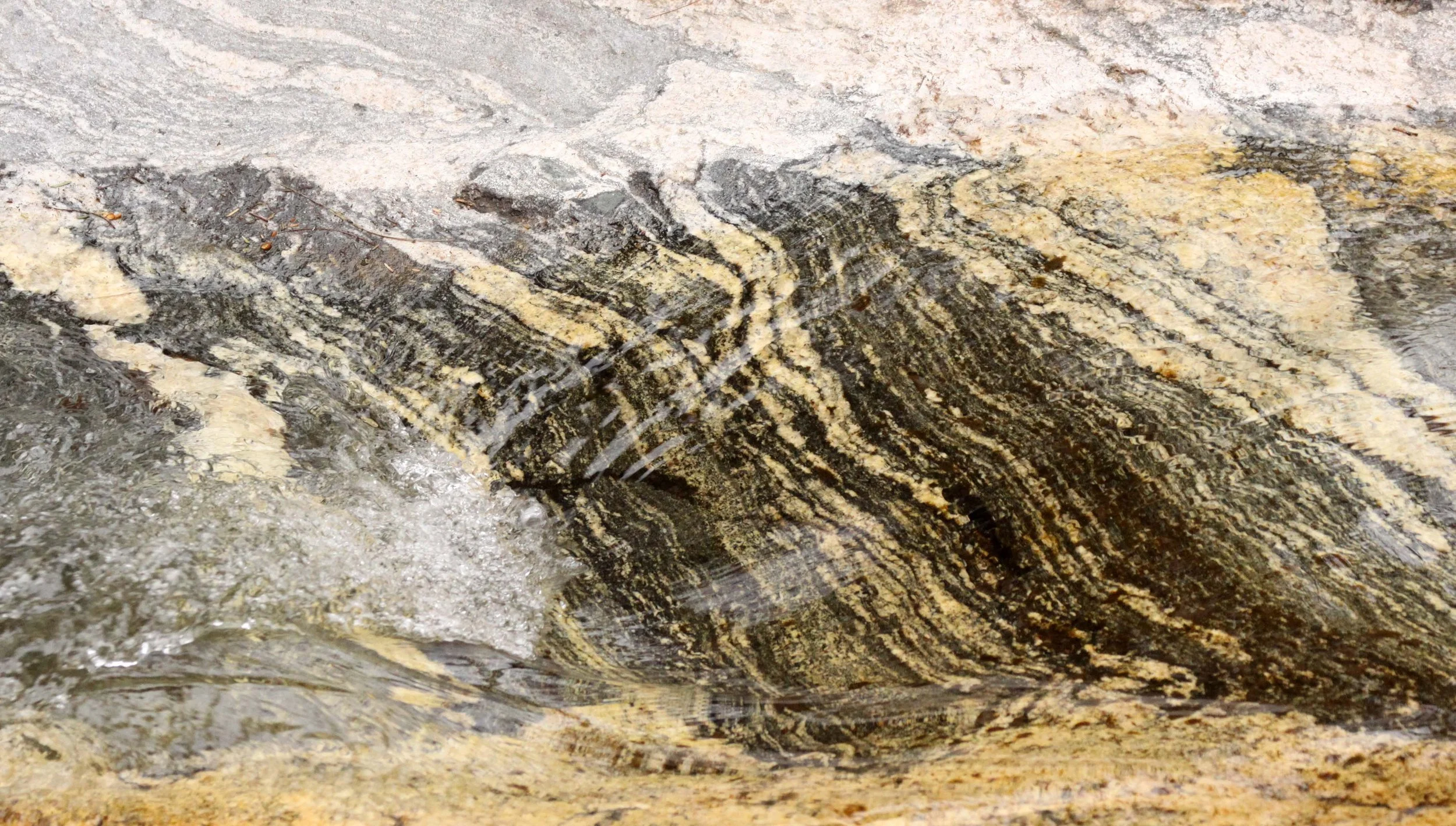 FOPING NATURE RESERVE - SHAANXI PROVINCE CHINA (120).JPG