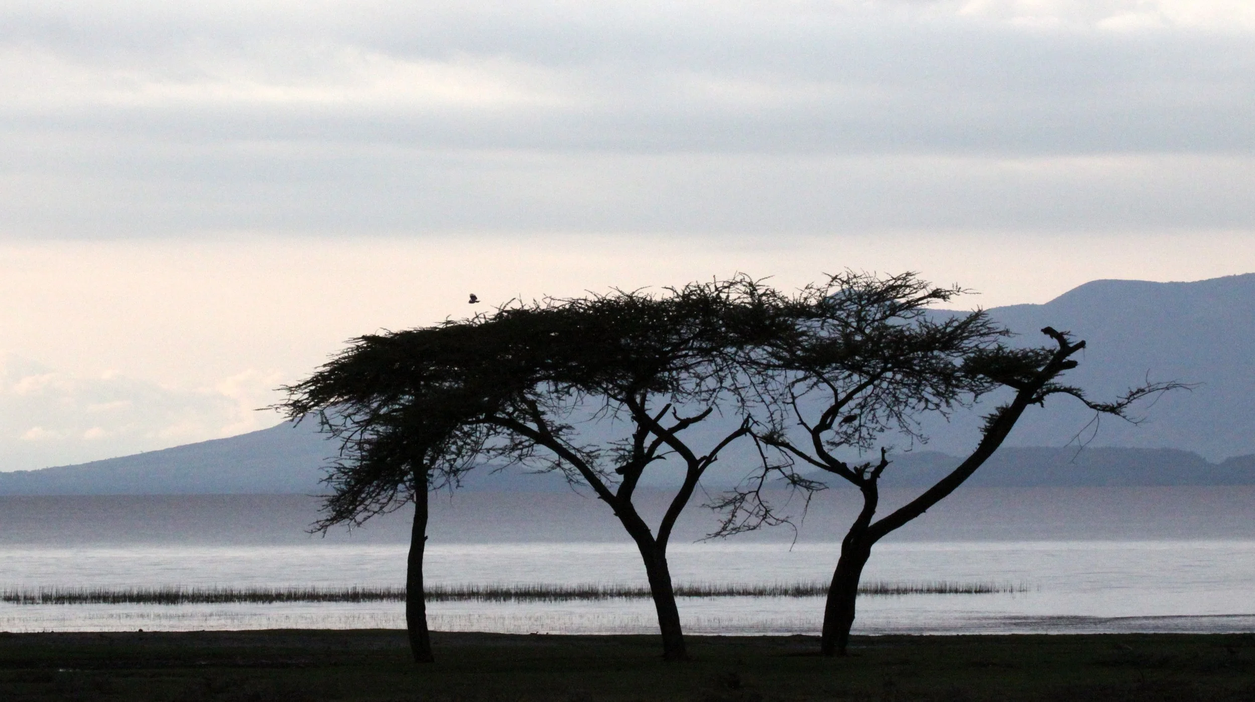LANGANO LAKE ETHIOPIA (20).JPG