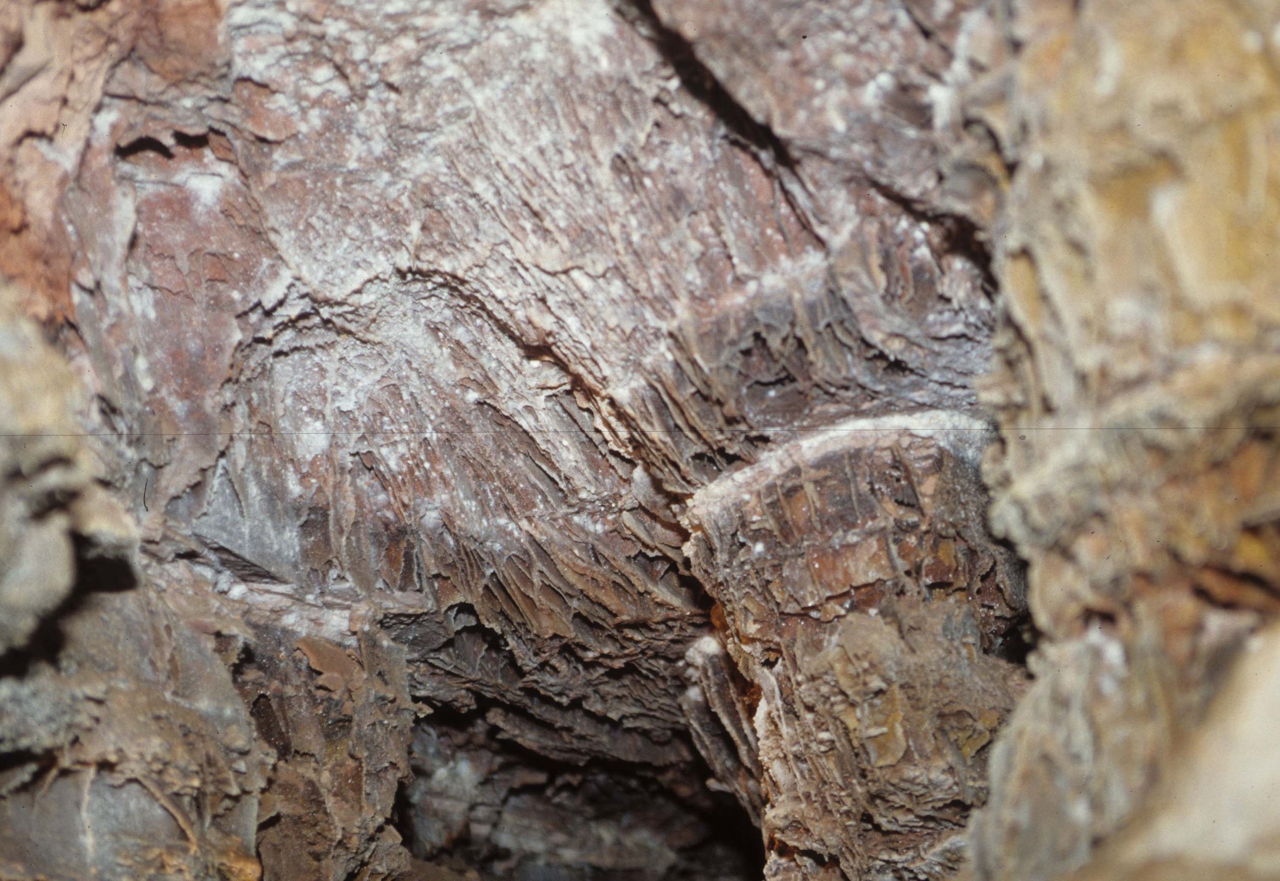 GREAT PLAINS - CAVE OF THE WINDS I.jpg