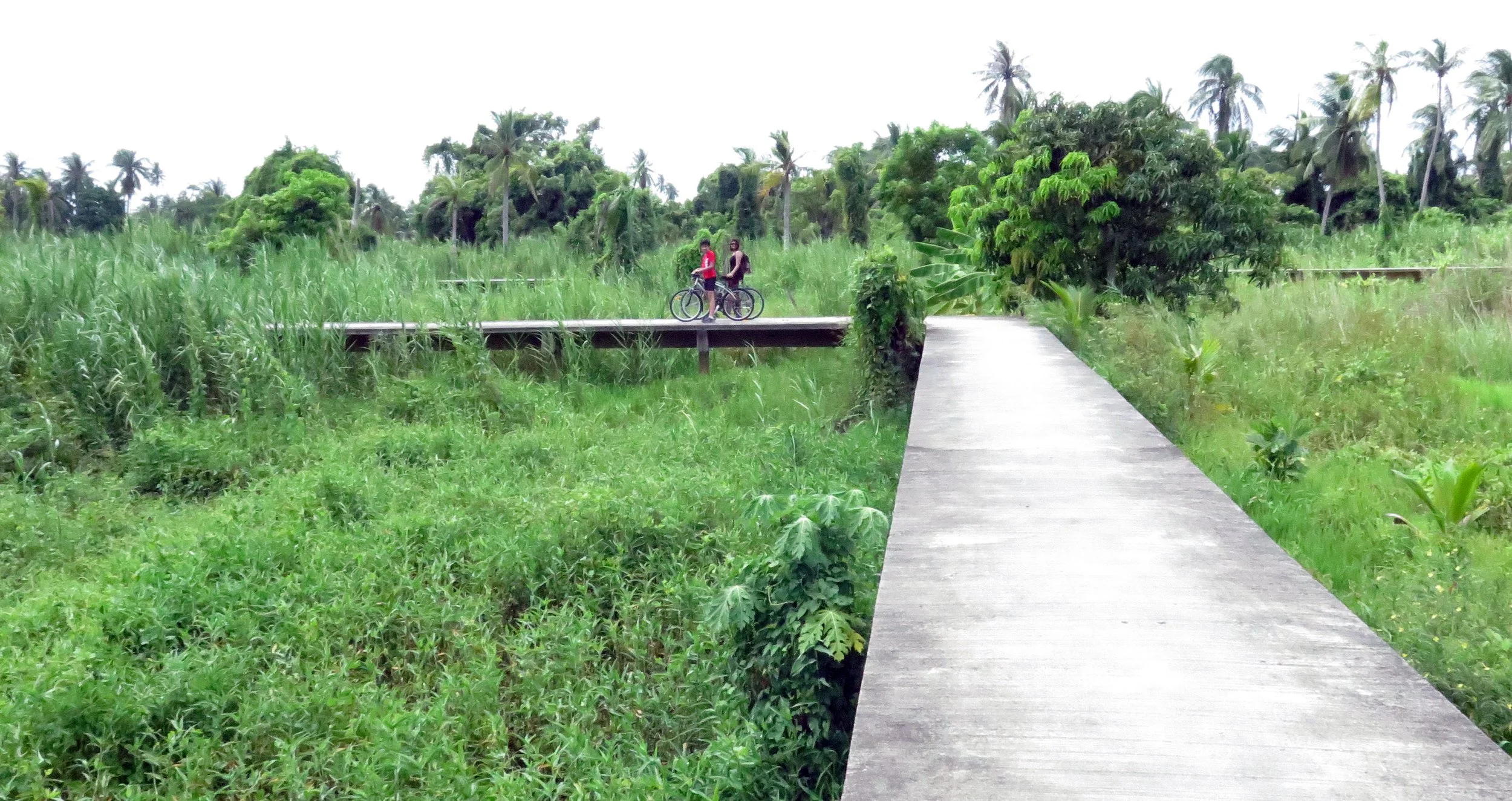 2014 Koh Kret Nonthaburi Bike Ride (33).JPG