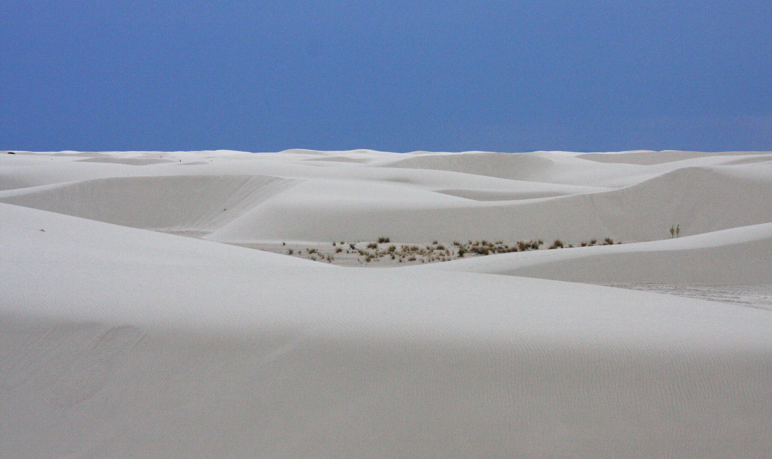 WHITE SANDS NATIONAL MONUMENT (16).JPG
