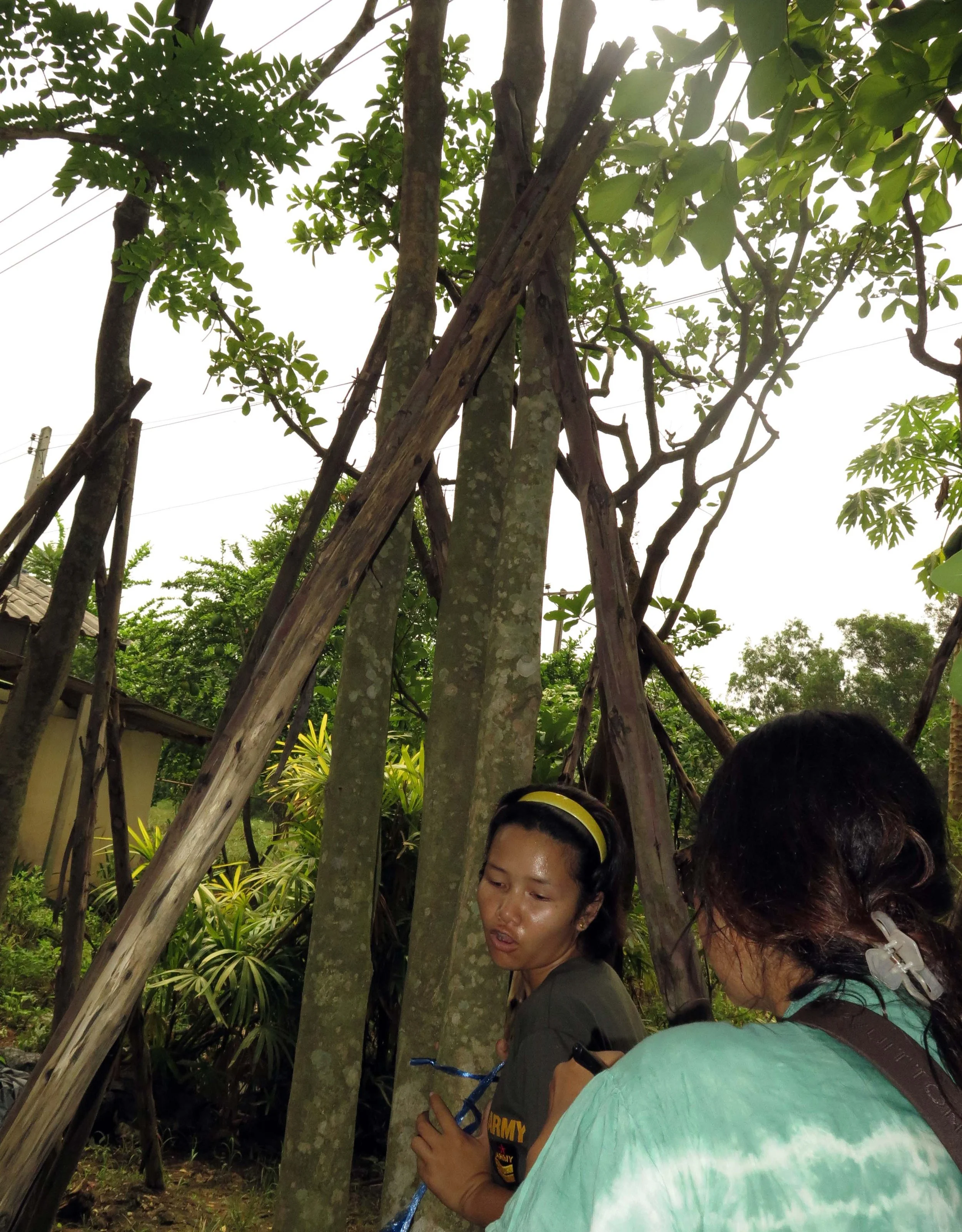 2013 - BANGKOK - NOVEMBER 2013 - MARCH 2014 (146).JPG