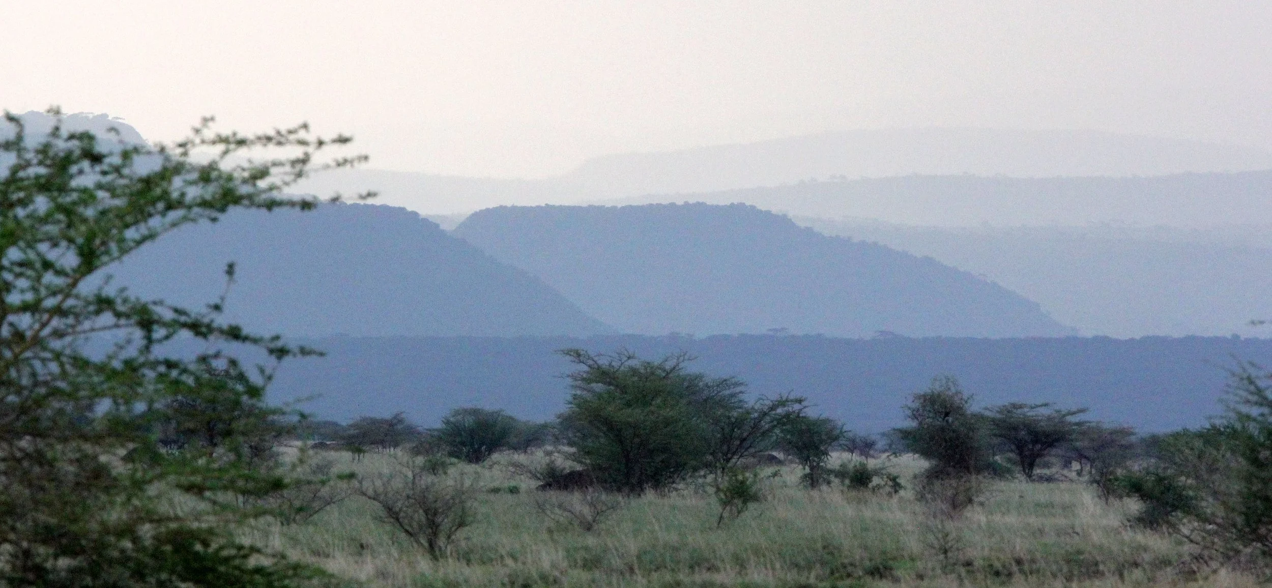 AWASH NATIONAL PARK ETHIOPIA (28).JPG