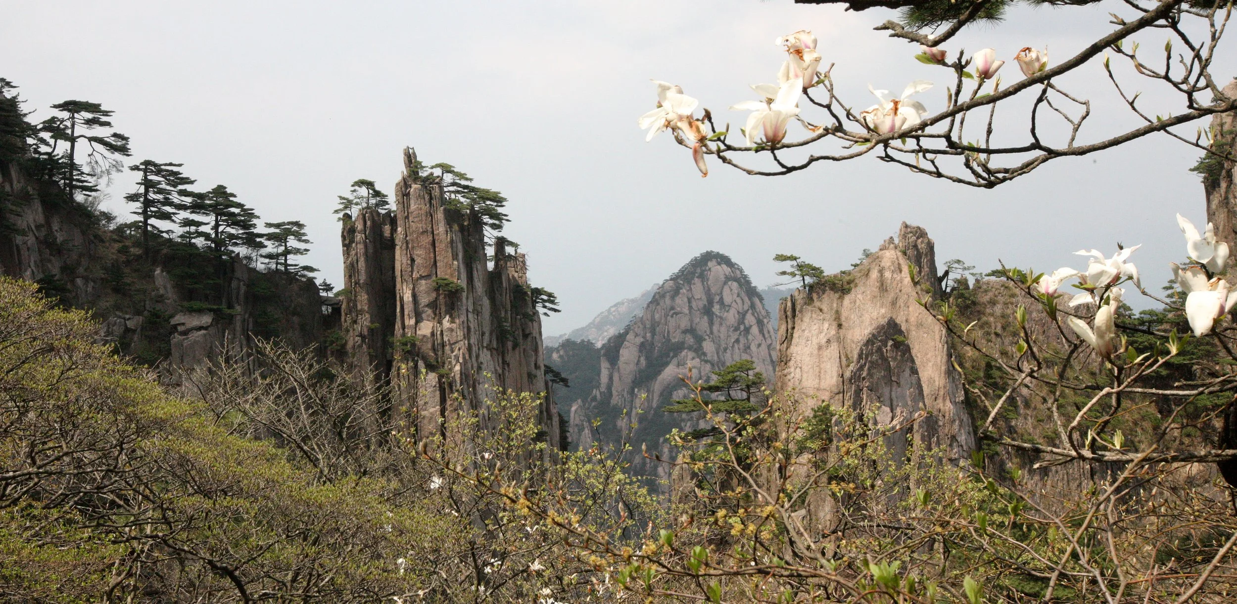 HUANGSHAN NATIONAL PARK ANHUI PROVINCE CHINA (56).JPG