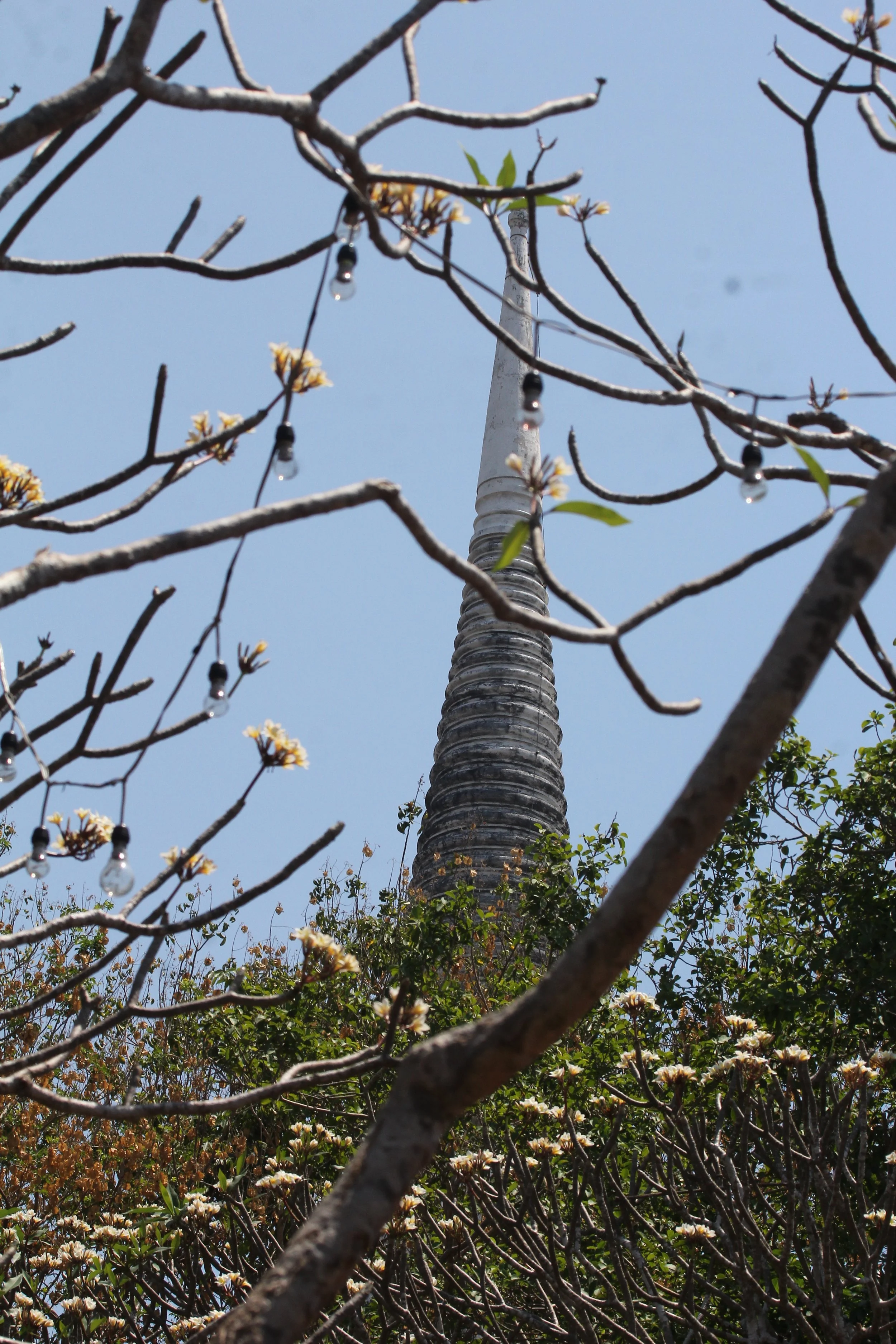 2020 - Petchaburi Temple (131).JPG