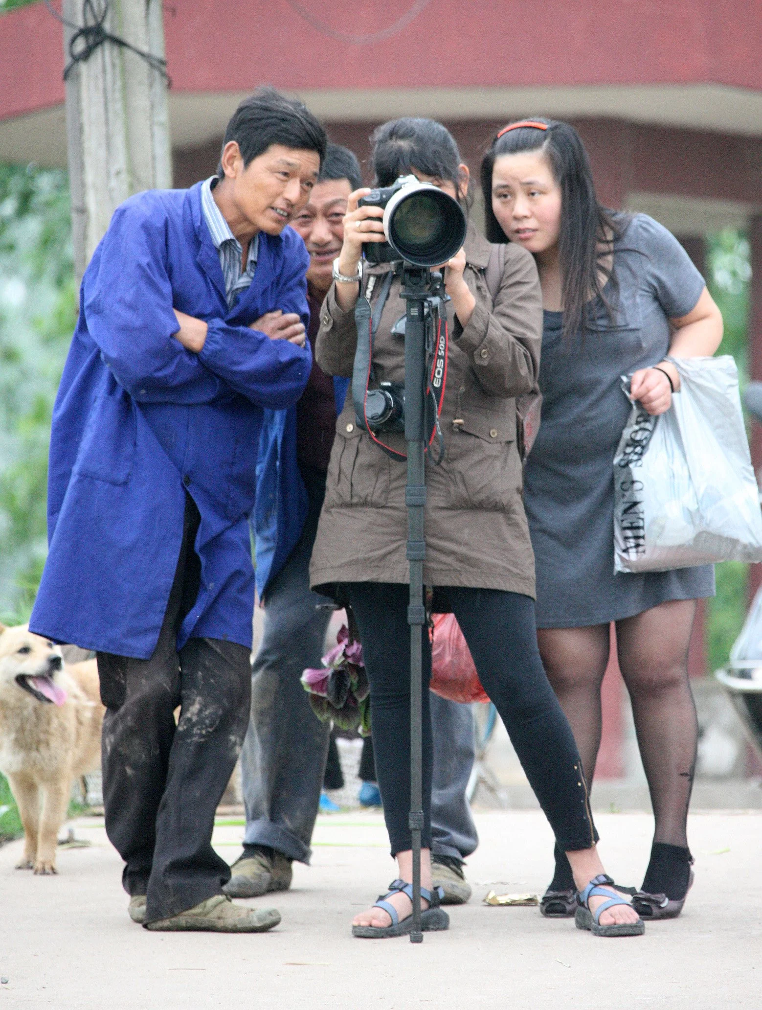 TONGLING RIVER DOLPHIN NATIONAL NATURE RESERVE - YUZHOU ISLAND (15).JPG